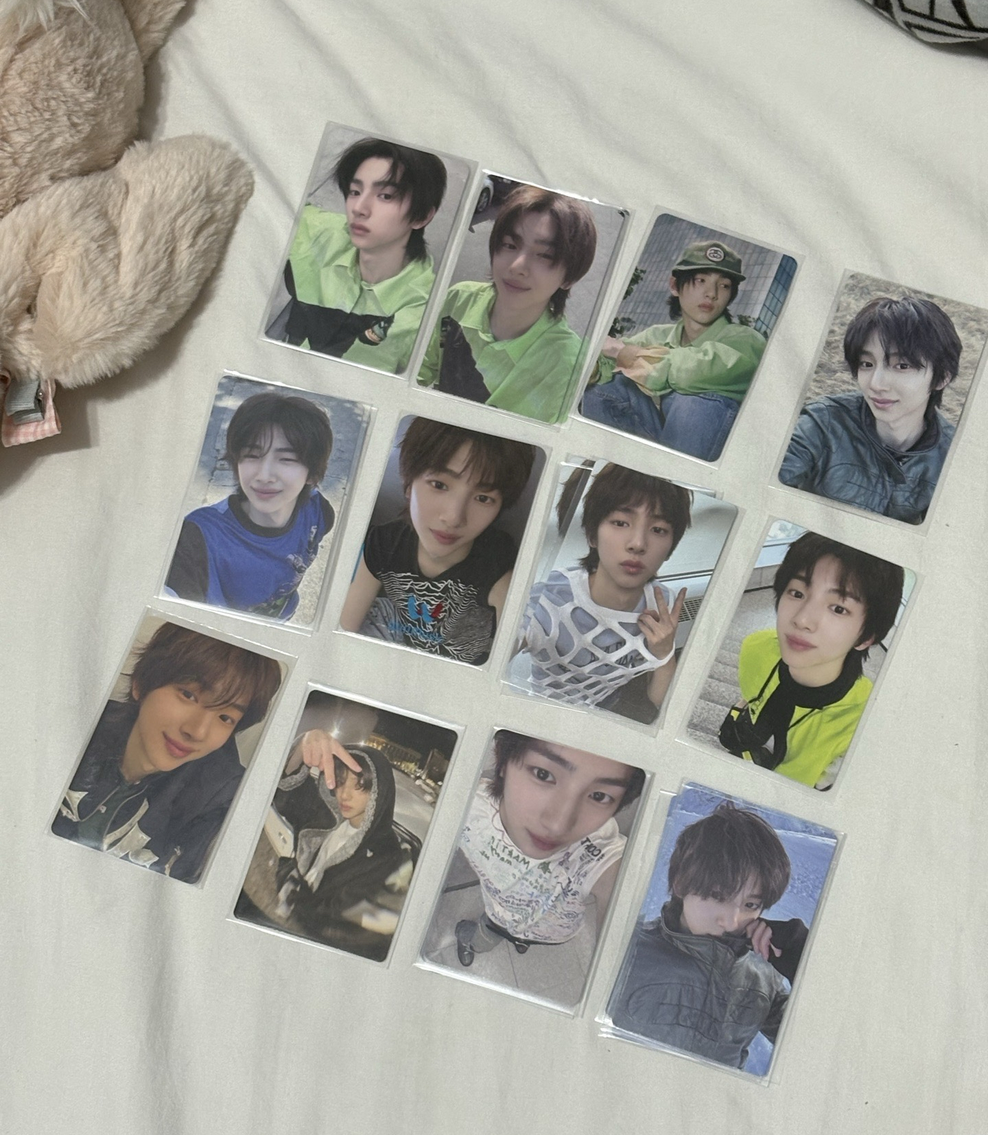 ⏰現貨 *･金主訓同學①*:.｡. 有購證 🐣