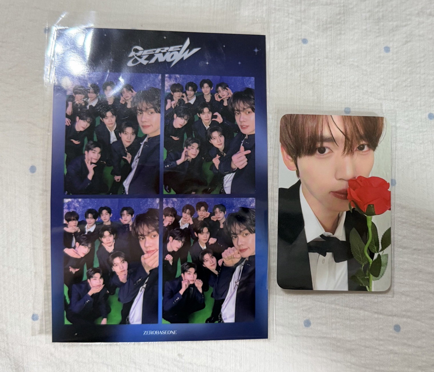 首爾安可D3粽卡 辰+人生四格+辰紙花