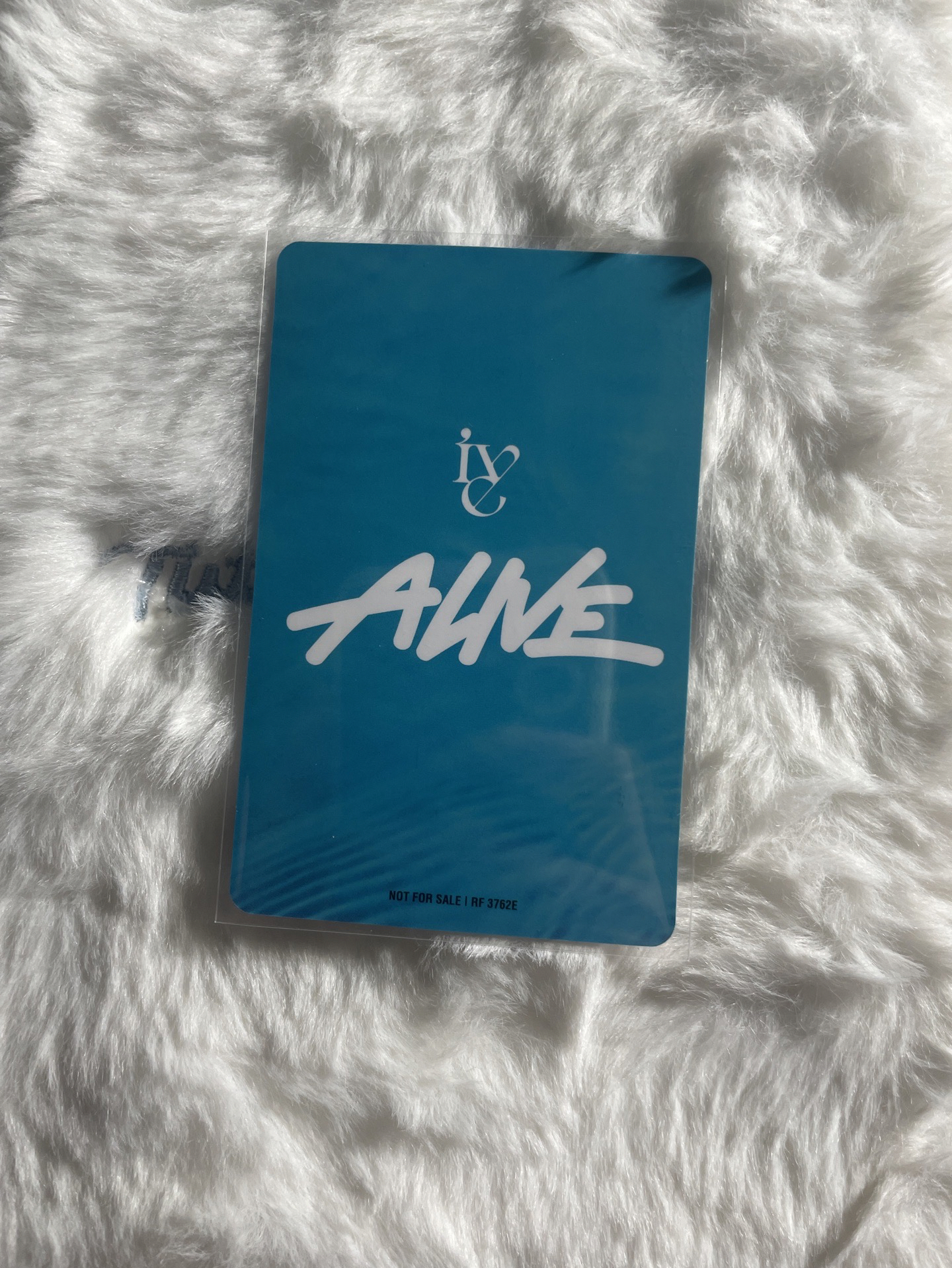 需多帶 Liz ALIVE 專輯卡 初回限定盤 B ver.