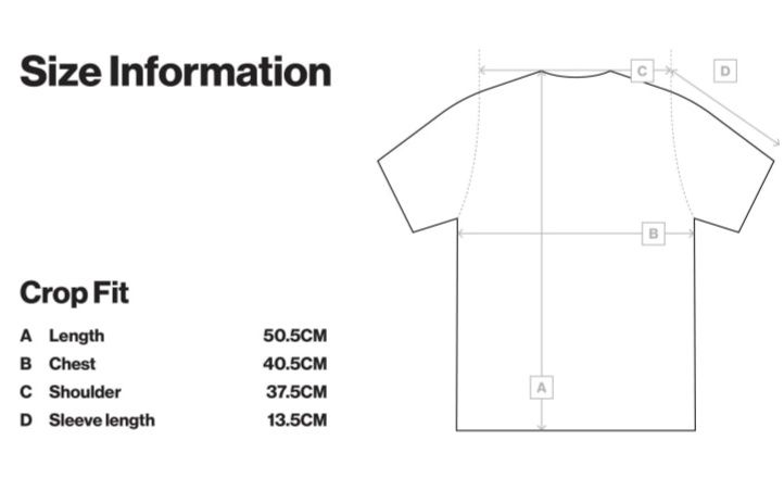 [預購] KiiiKiii 海豚T恤 (Dancing Alone系列周邊)