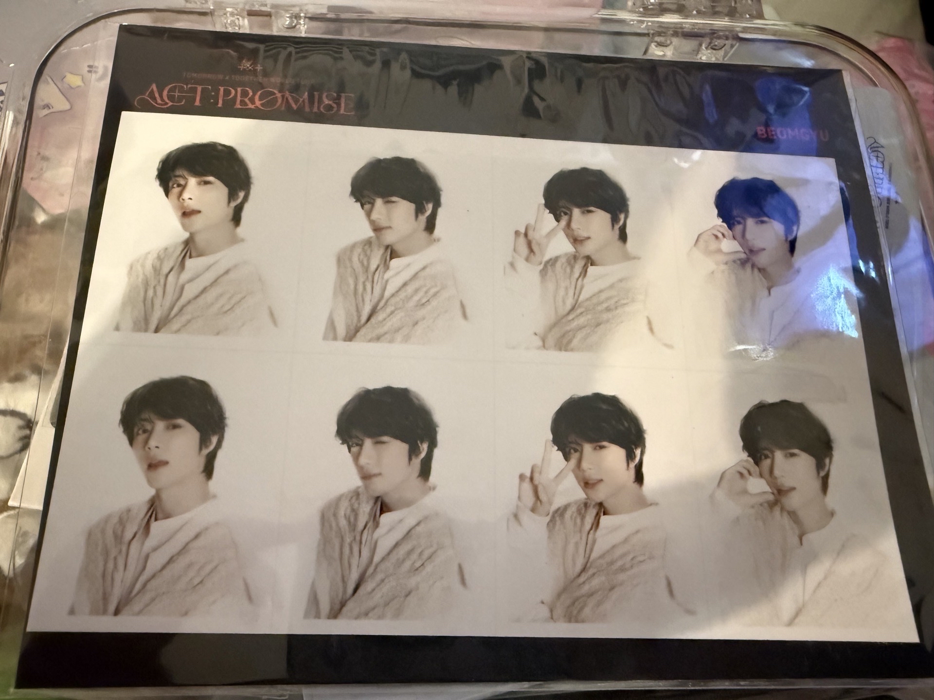 24巡迴 證件照 杋圭