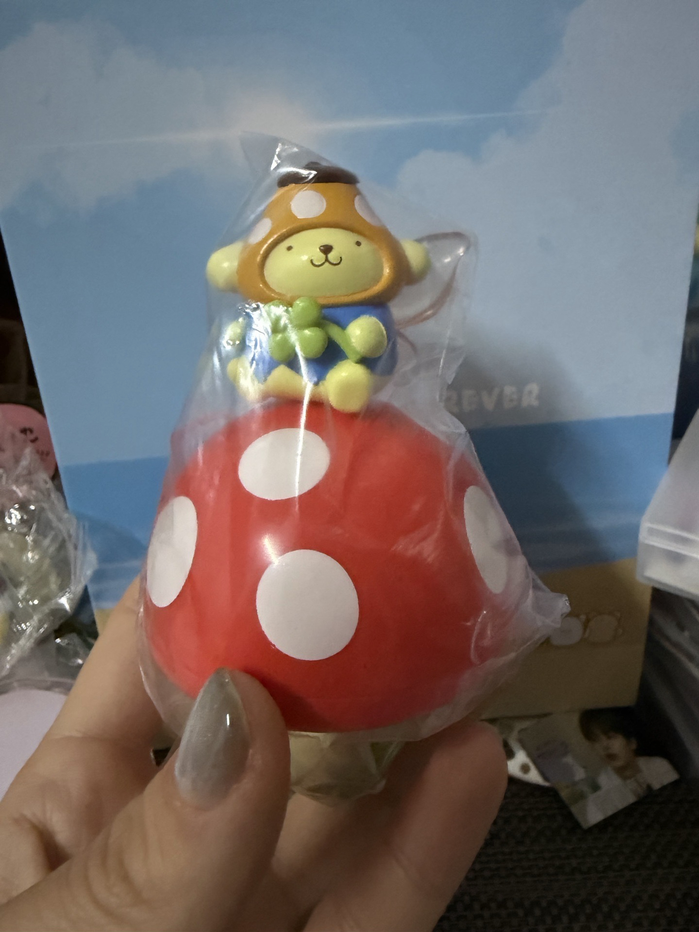 三麗鷗蘑菇精靈🧚