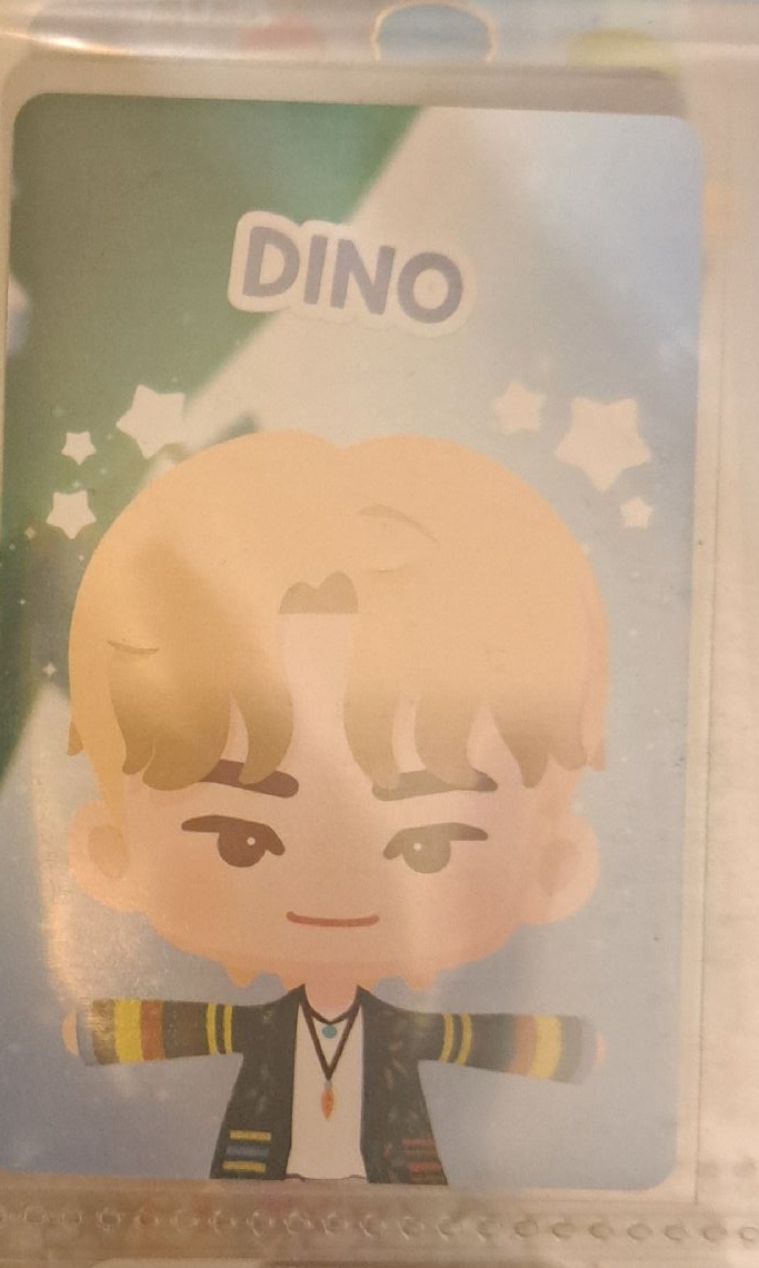 燦遊戲卡 （未掃）