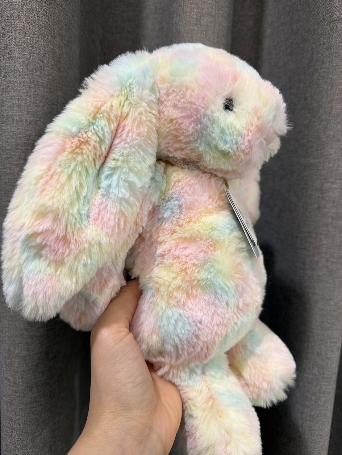 Jellycat地區限定致臻拉祖利亞邦尼兔