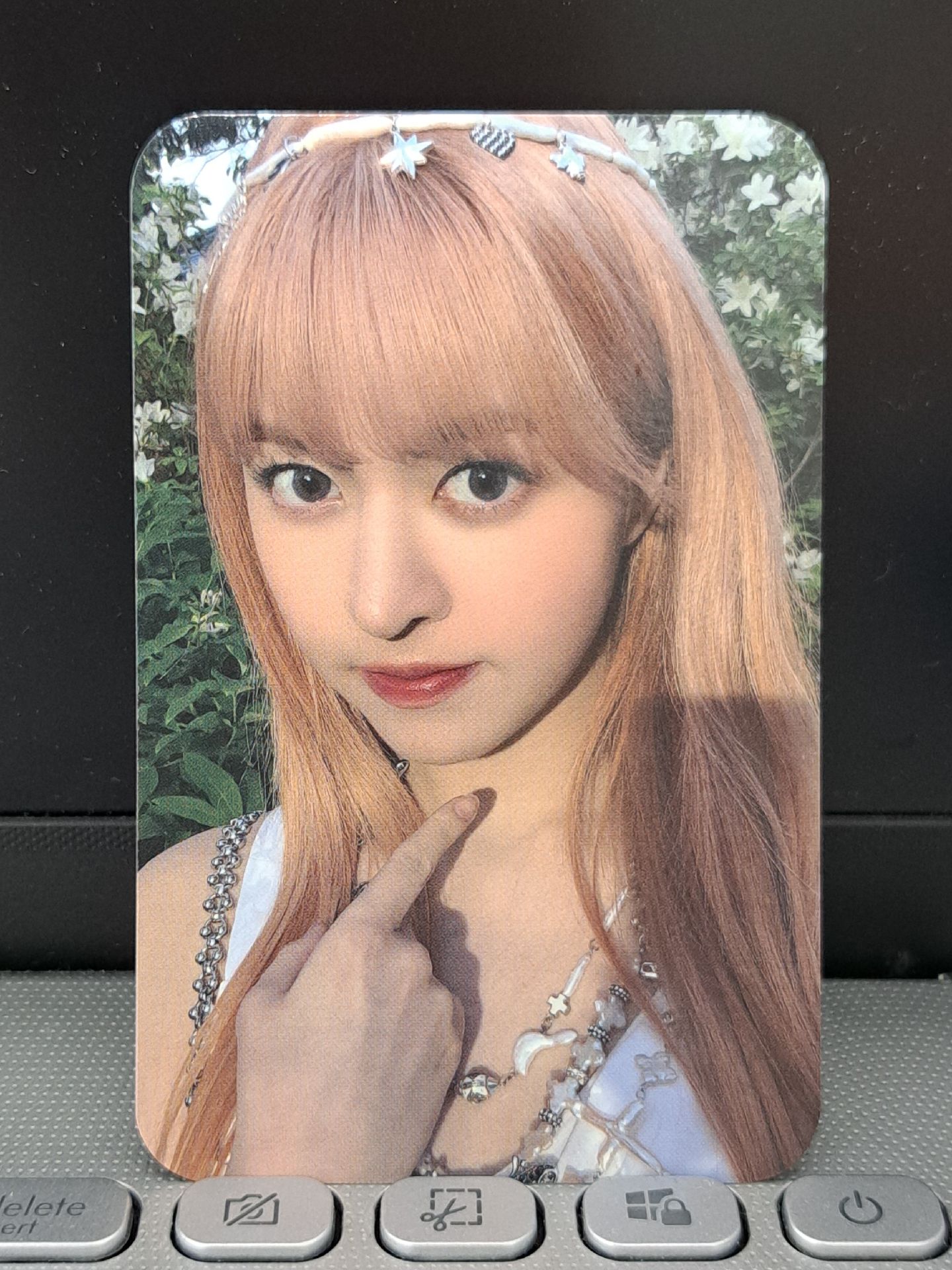 仲夏夜 sw 預售莉 小坑