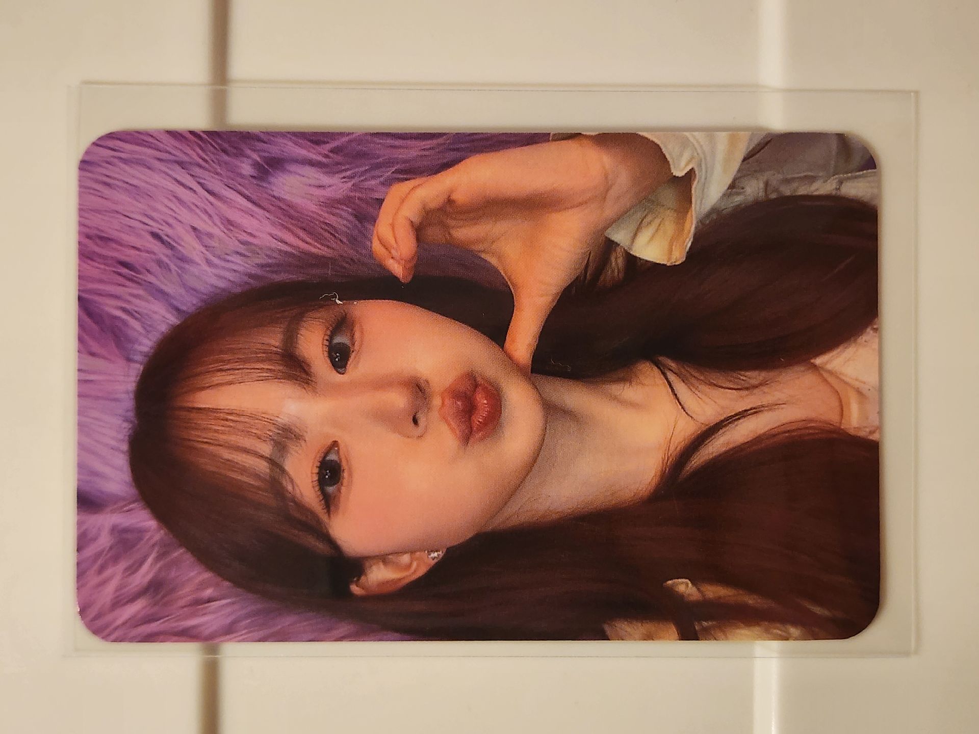 ｜全員 臺北場限卡D2