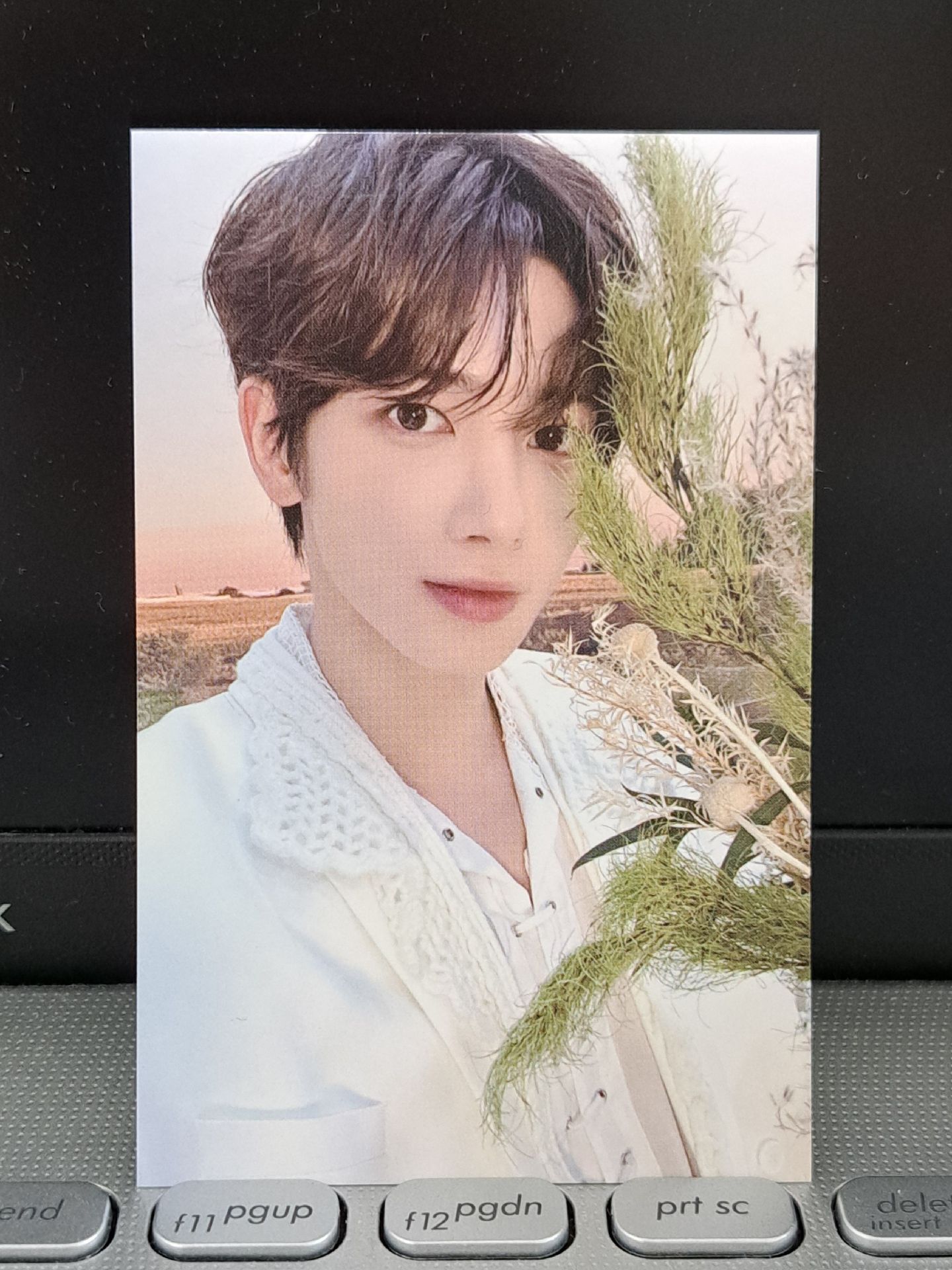 24’巡迴 zone卡顯 背瑕