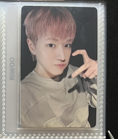 第一排右（中背）