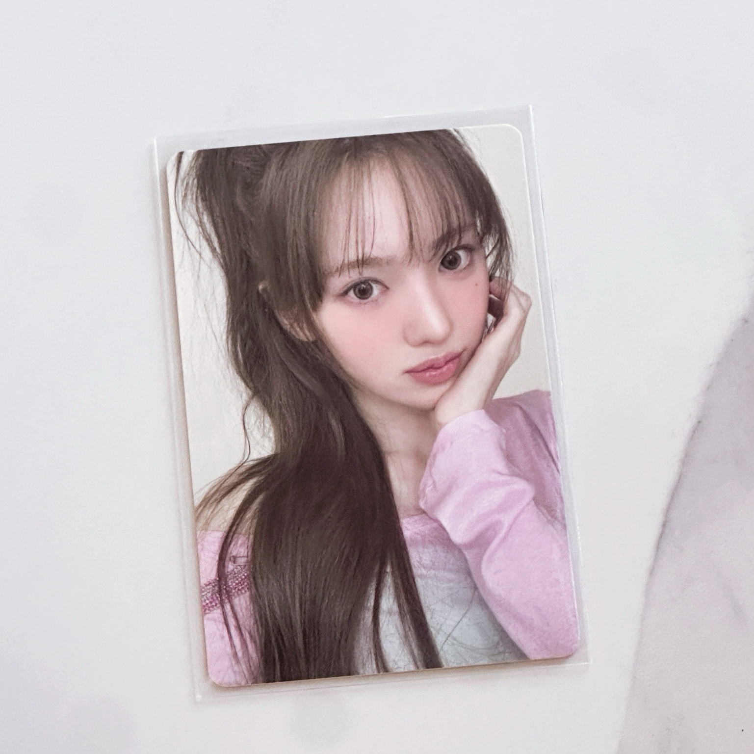 DP | sui 京東 中背