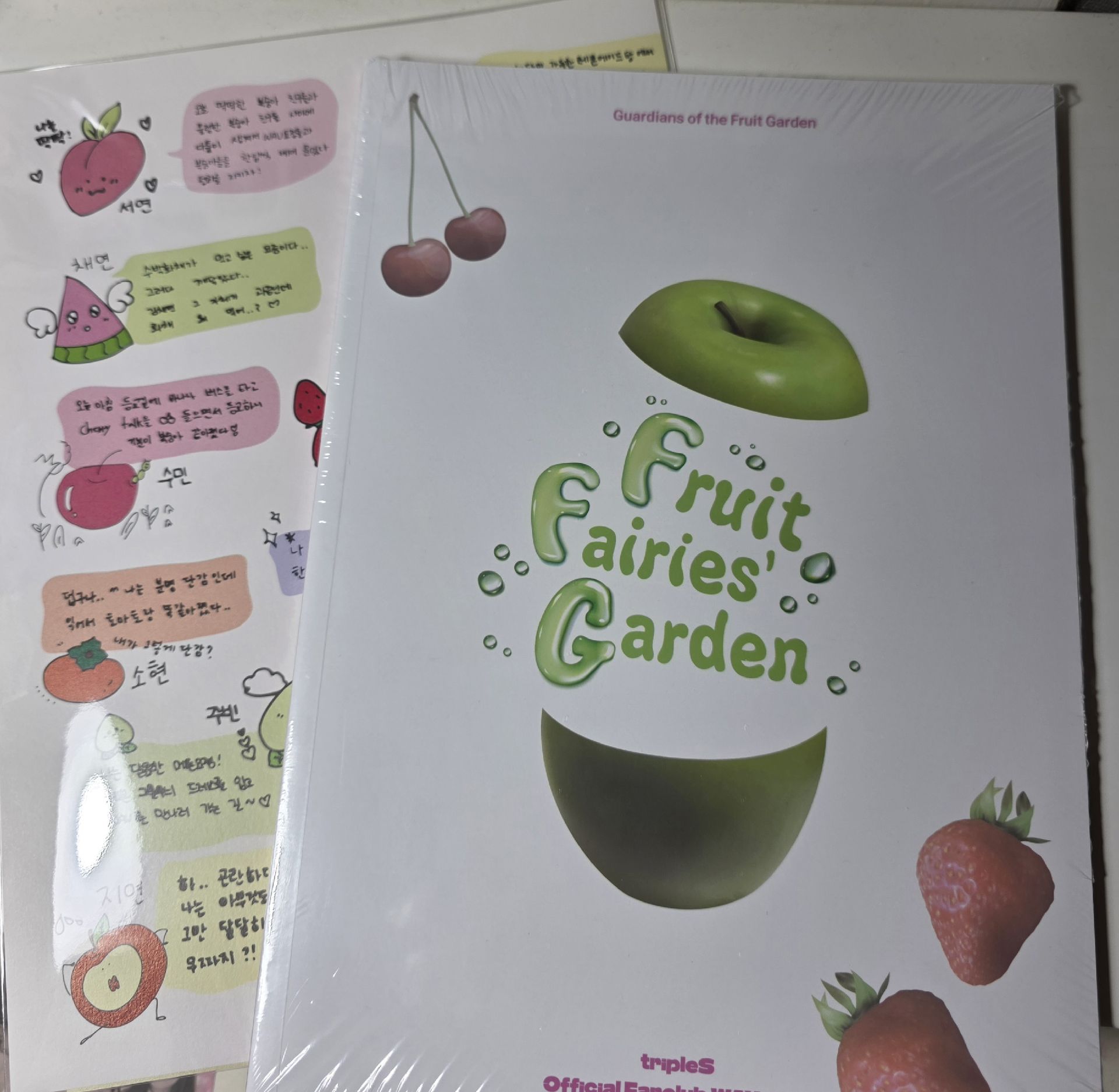 tripleS 1期 2期會員禮