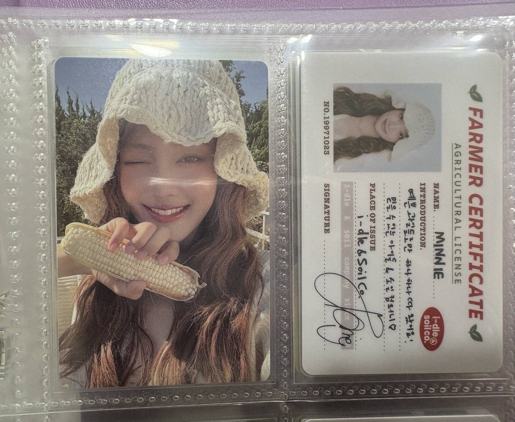 2026年曆卡-米妮小卡+id卡