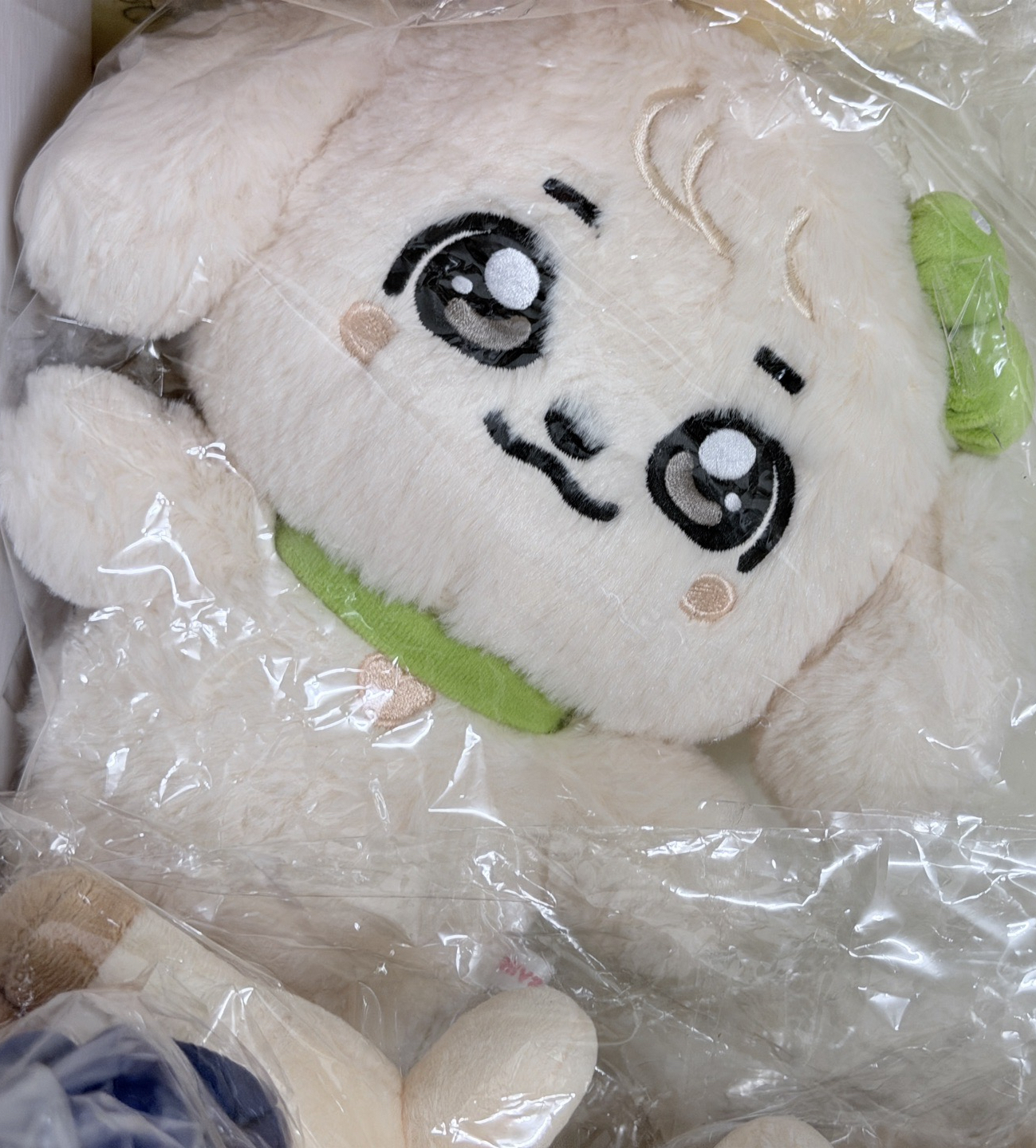 IVE 30cm安 🈚️小卡