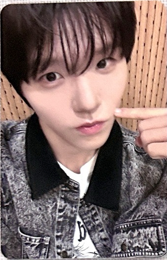 樹poppop k4 1.0簽售卡