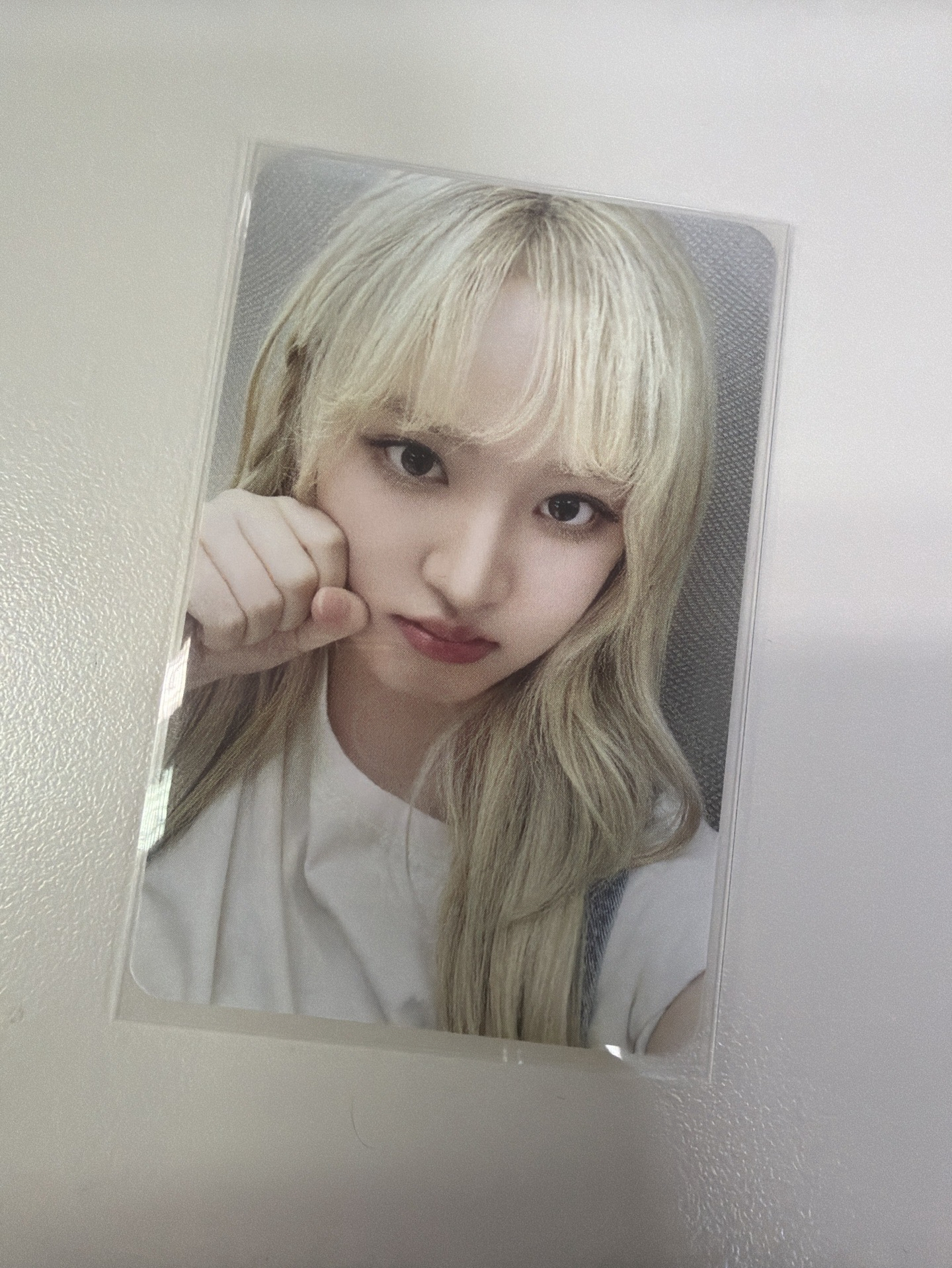 楠藝栗 （色調好看！）