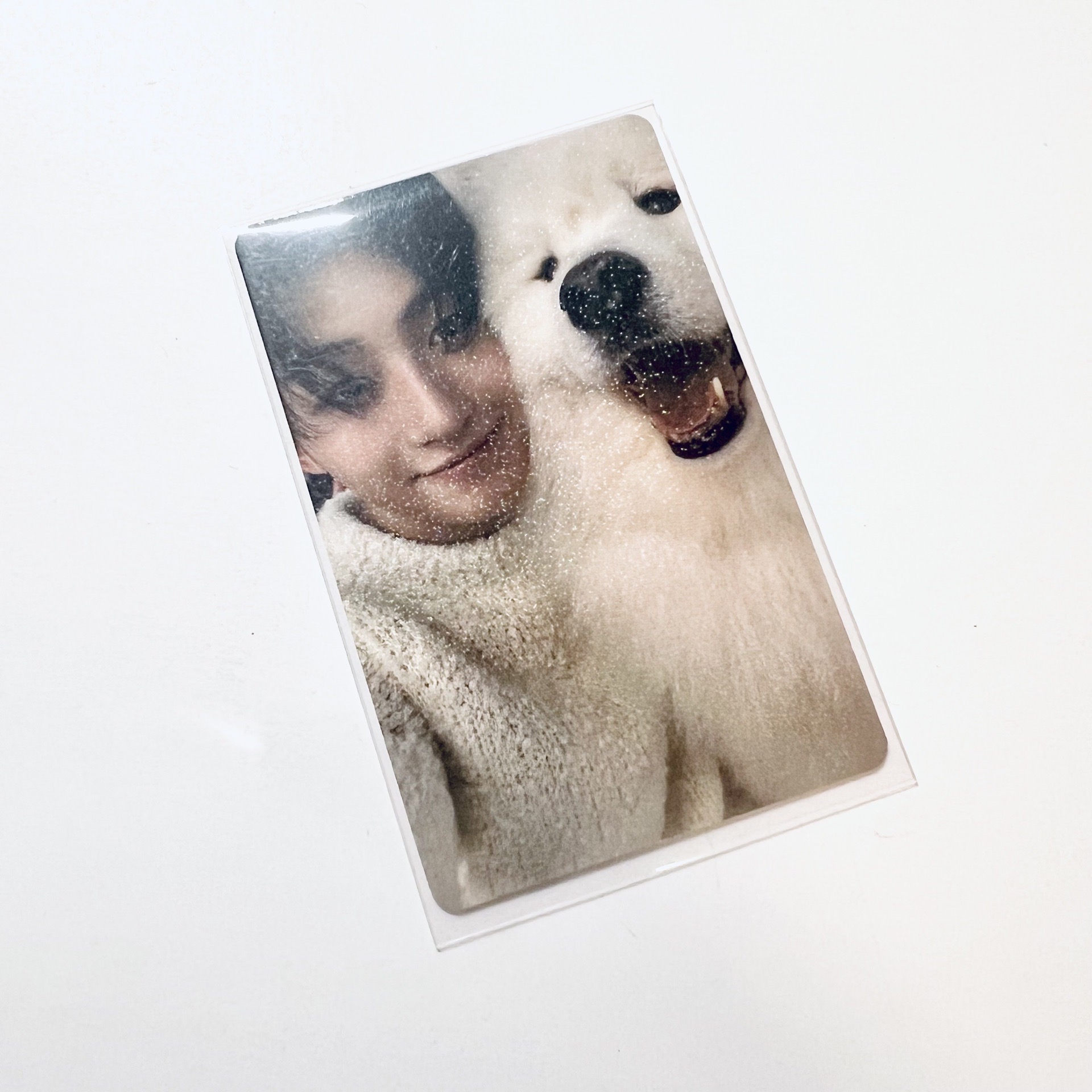 Last Bell 一直娛中背