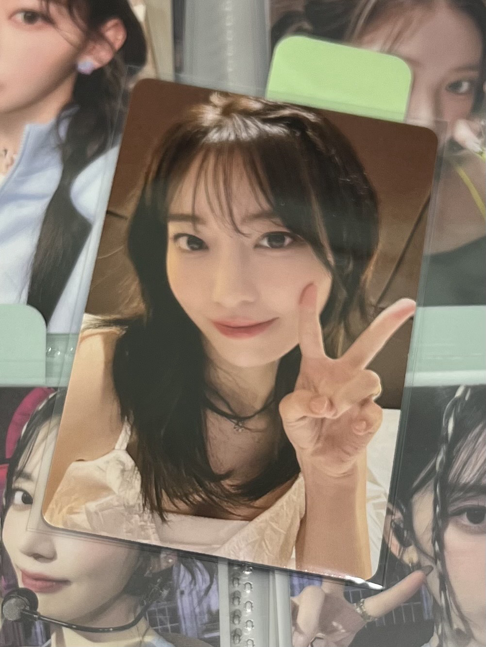 🩶港澳寫真 櫻花