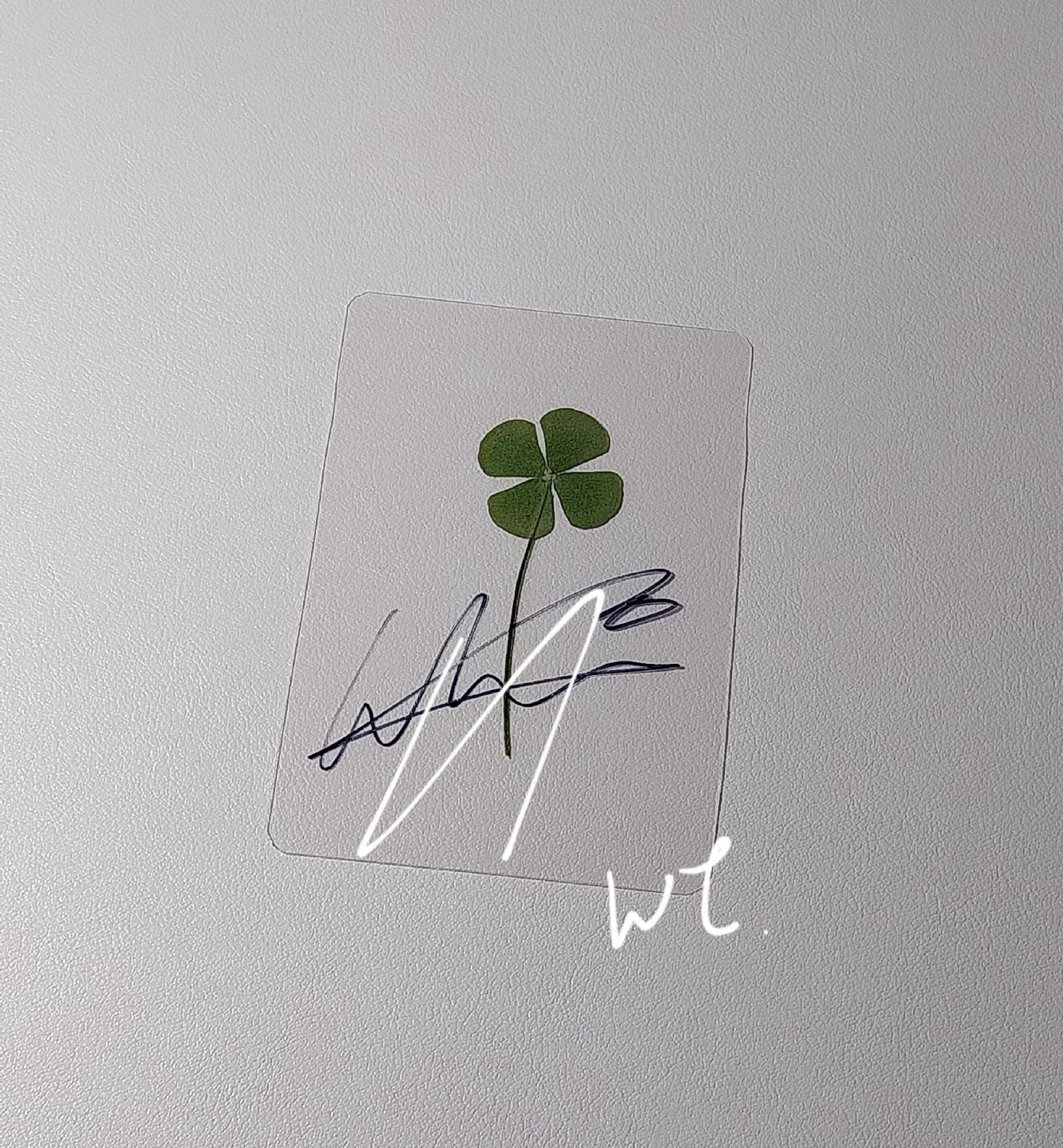 allday project 燦幸運草簽含綁