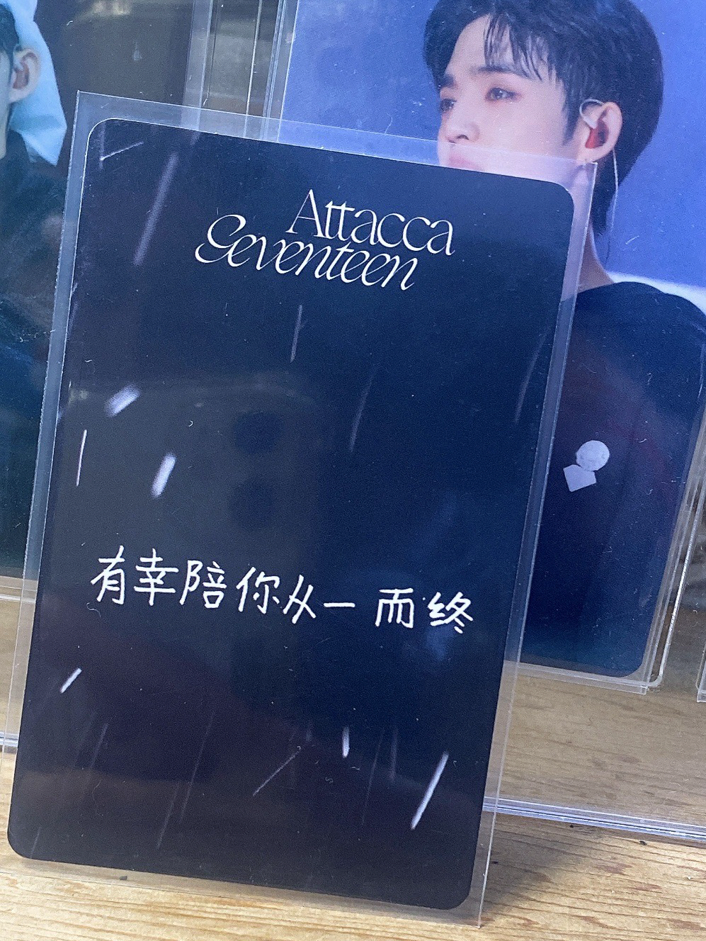 ⭐️迷9中字🐈‍⬛