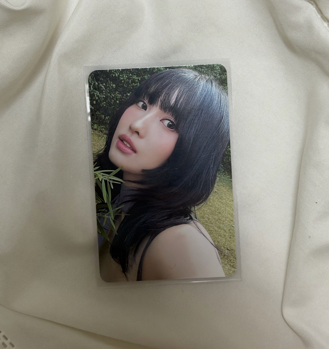 With You•th Momo 迷13專輯卡