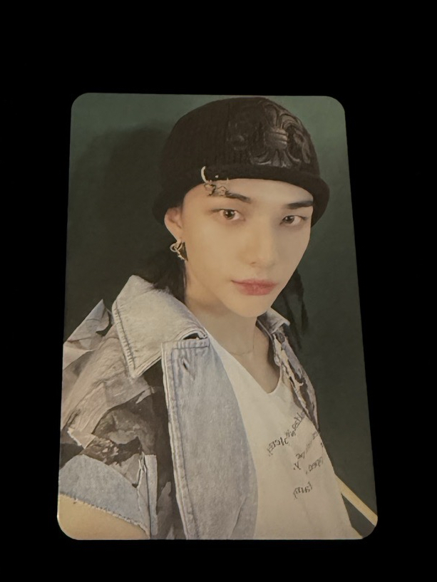 毛帽辰 樂-電子專固卡