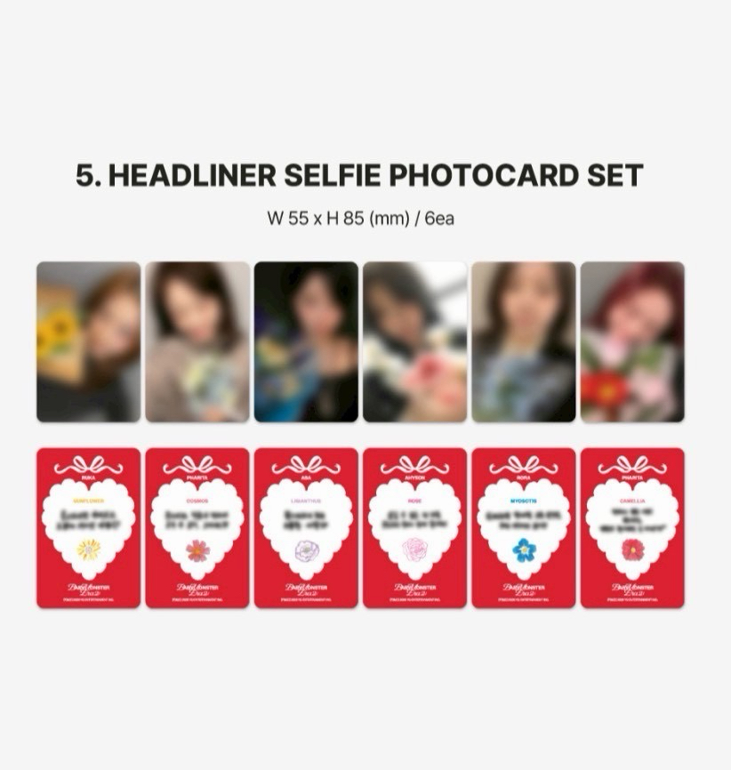 非現）二週年紀念回憶錄（WVS版）