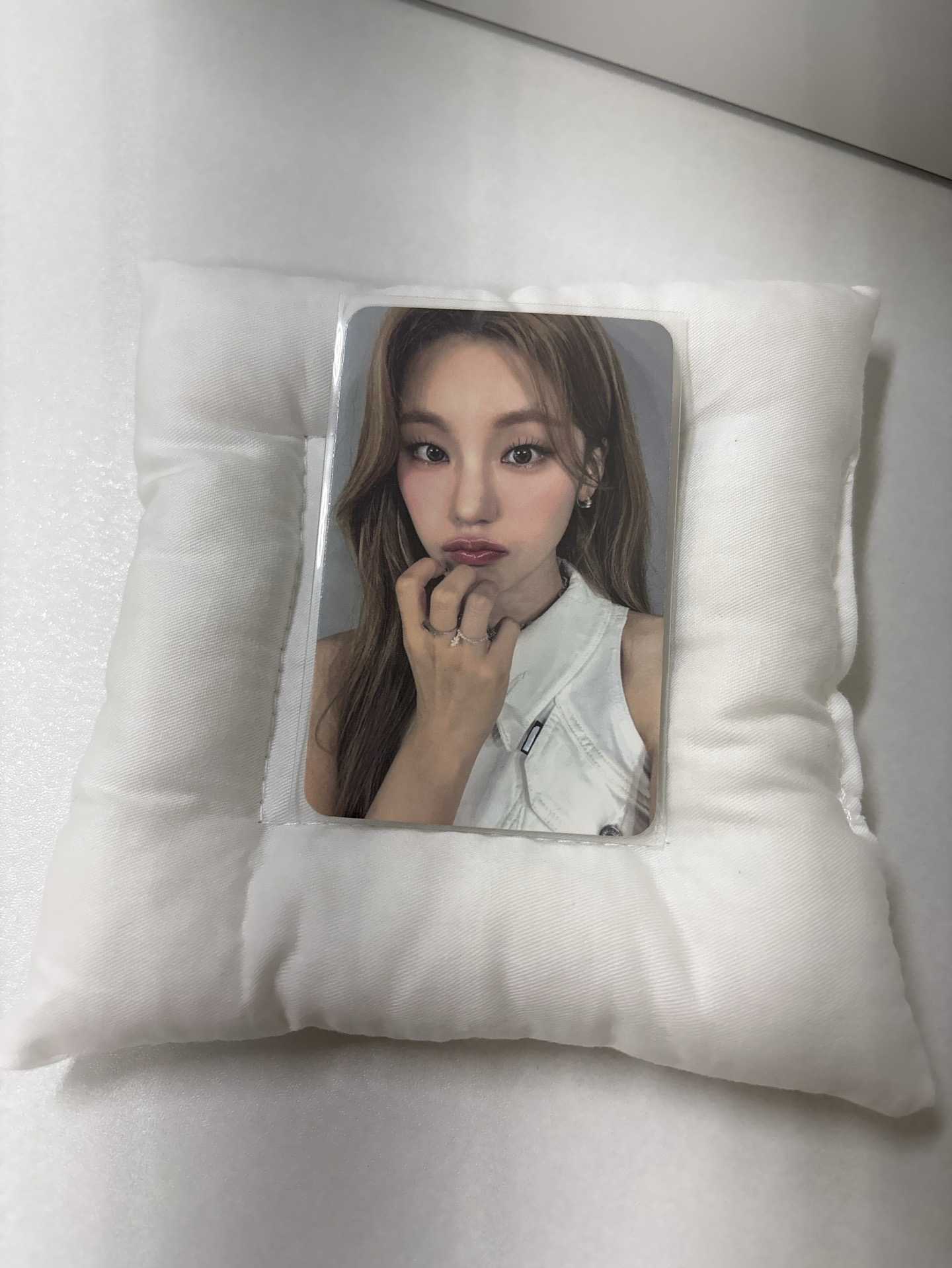 黃禮志sw8.0簽售卡