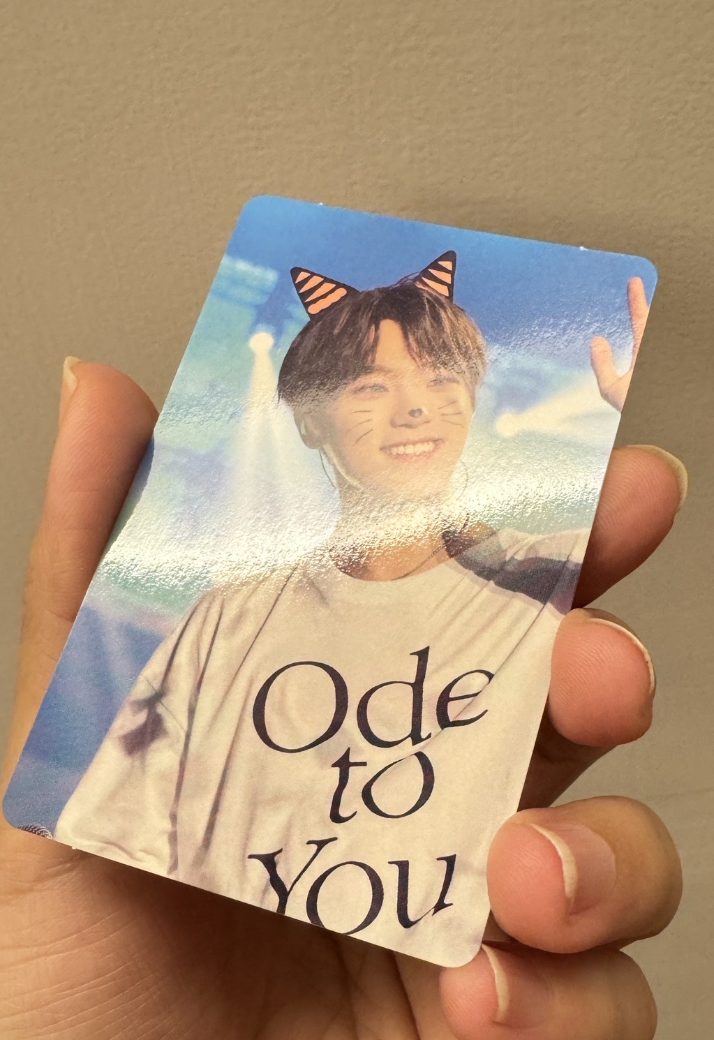 Dino Ode to you DVD卡 