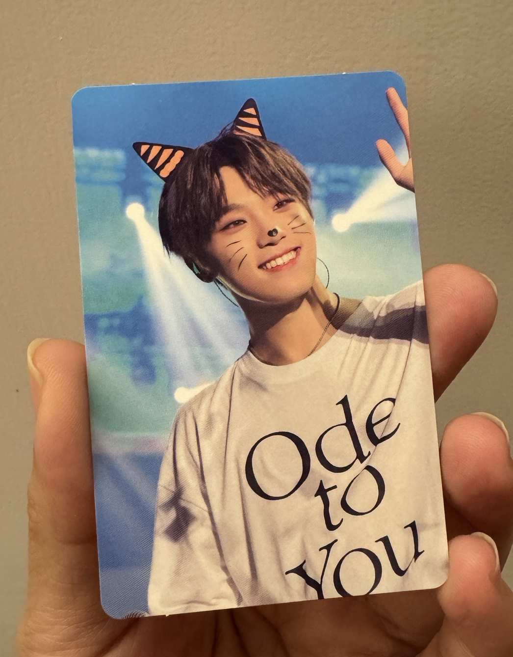 Dino Ode to you DVD卡 