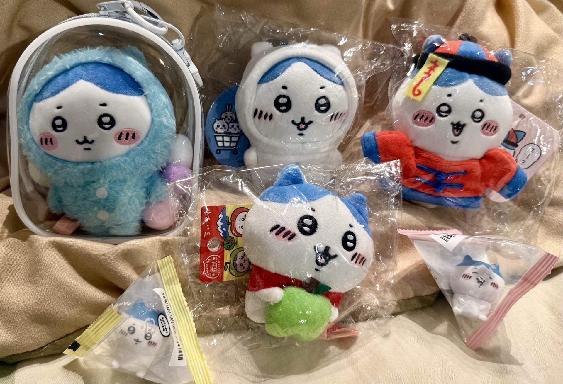 日本購入官方正品chiikawa小八