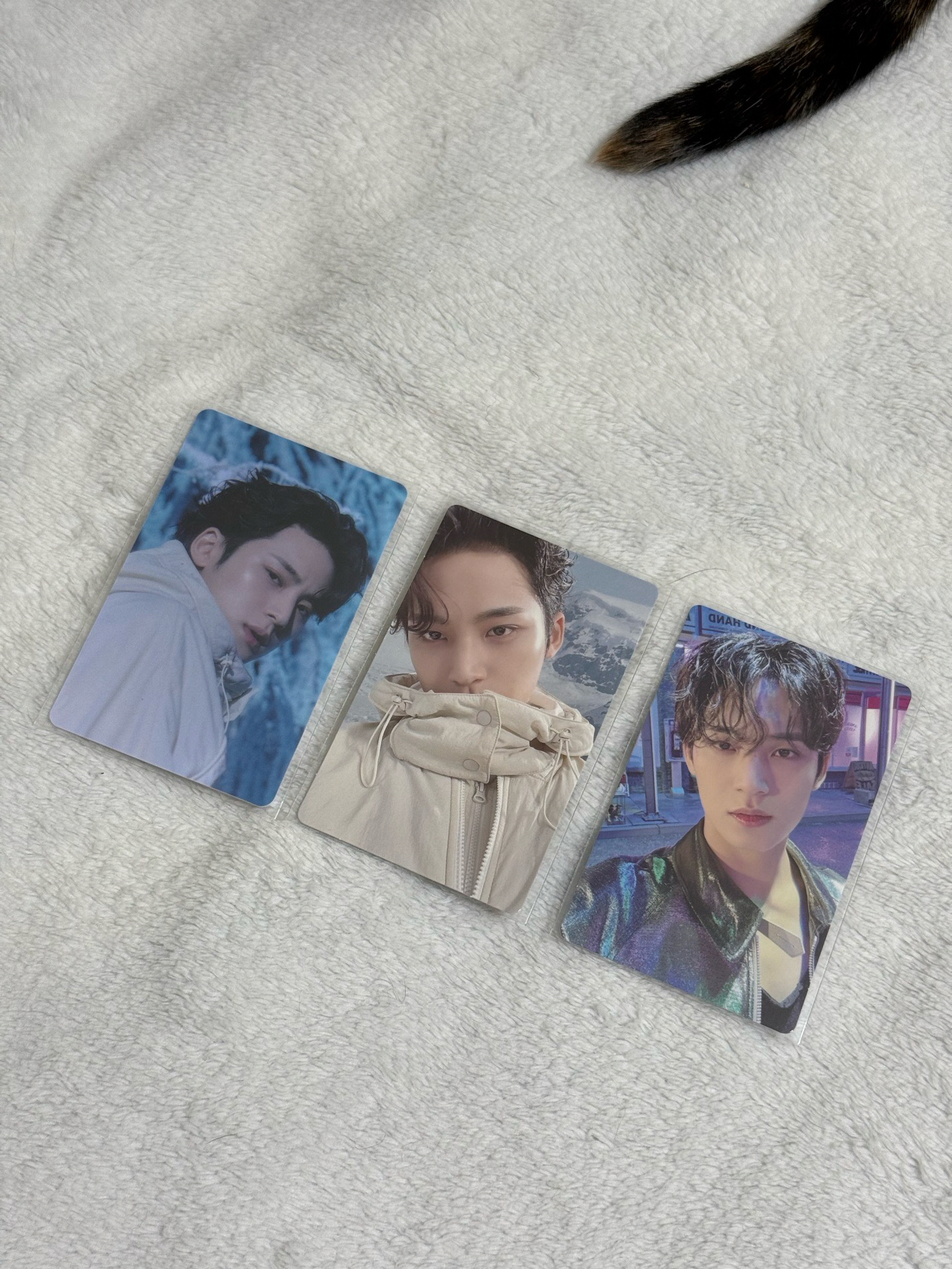 🍀正四後續 電子專 奎