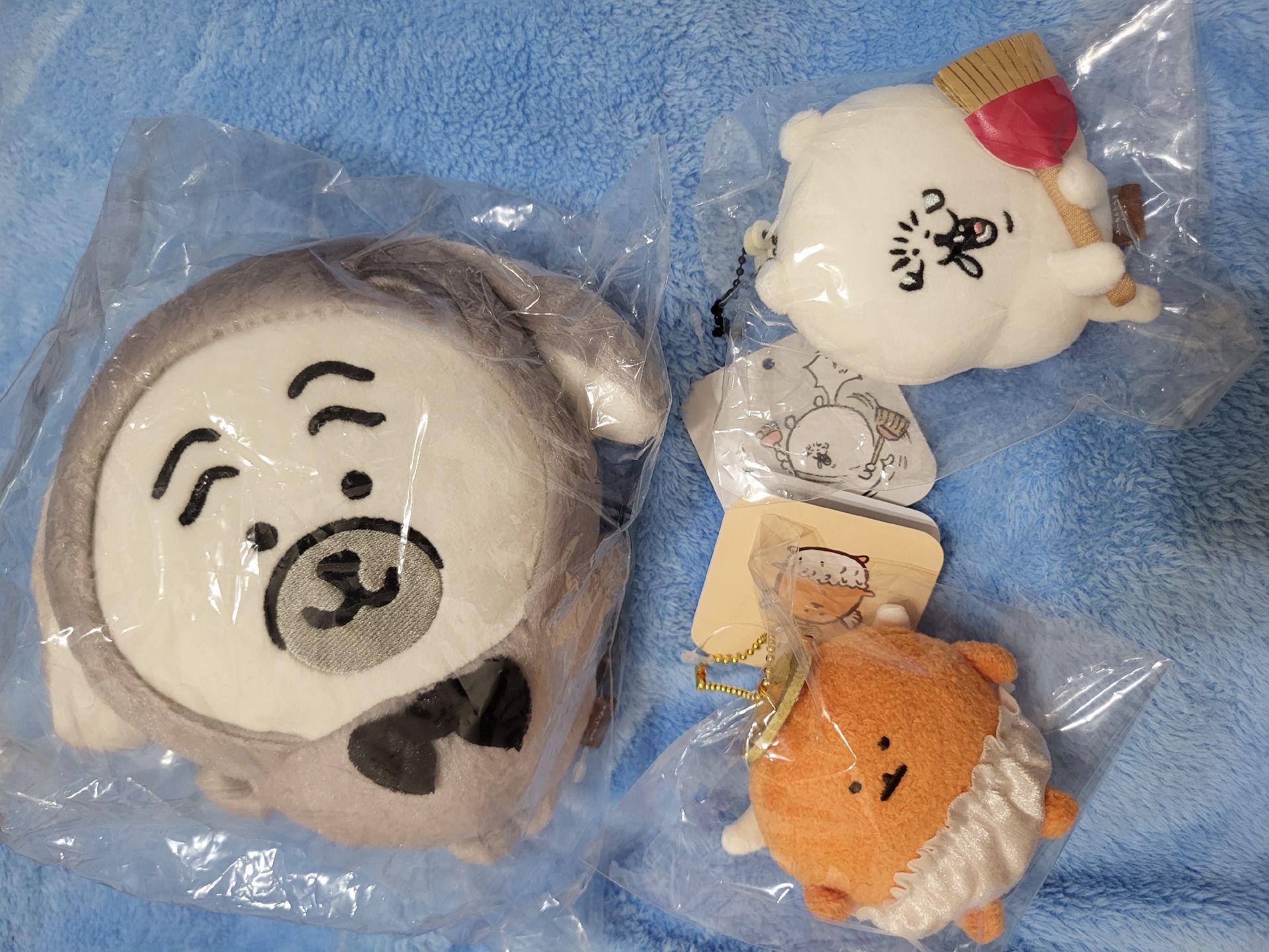 ナガノ兔年巴哥 天使可樂 花粉熊 自嘲熊