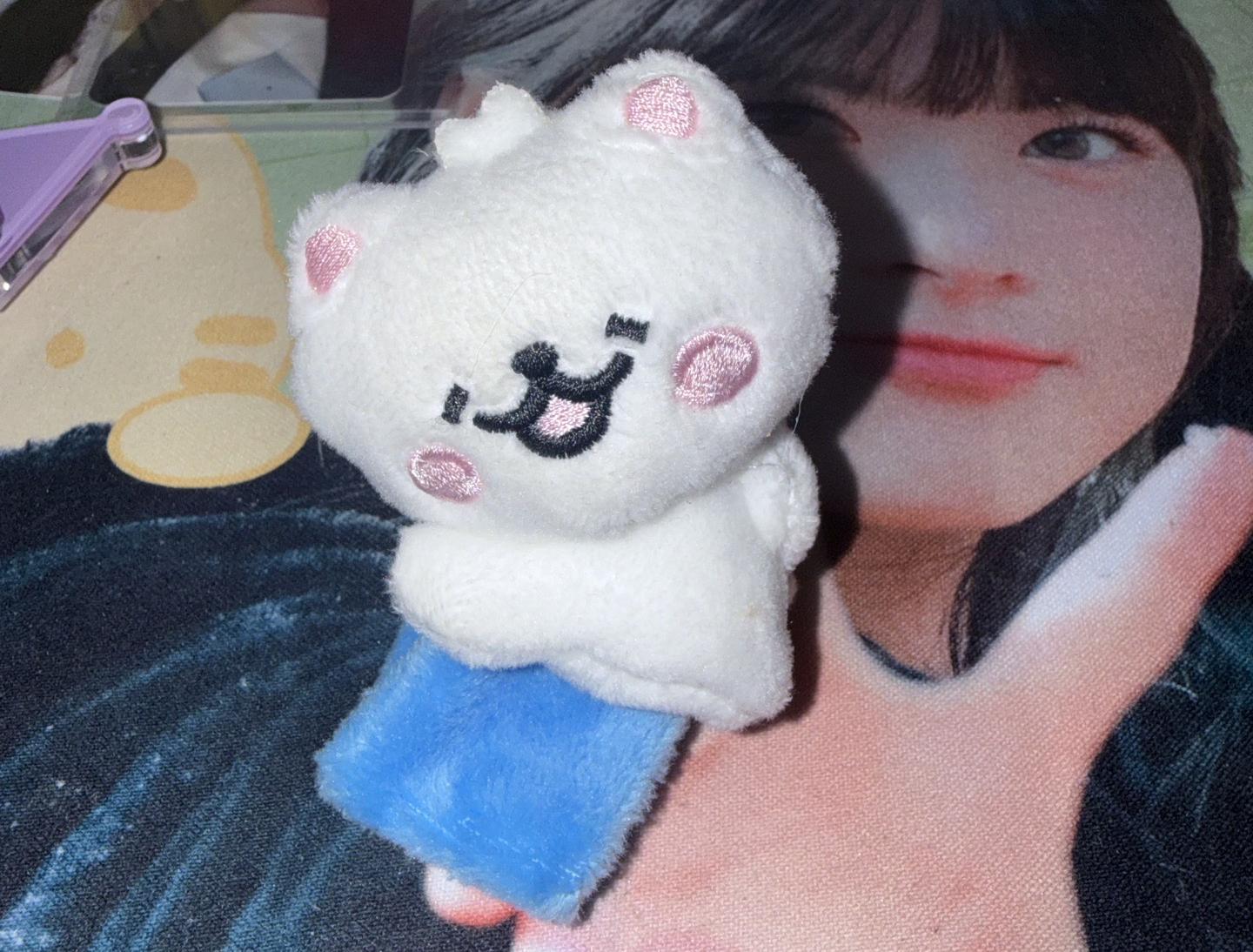 葉🍃手燈娃、葉🍃首爾安口證件套