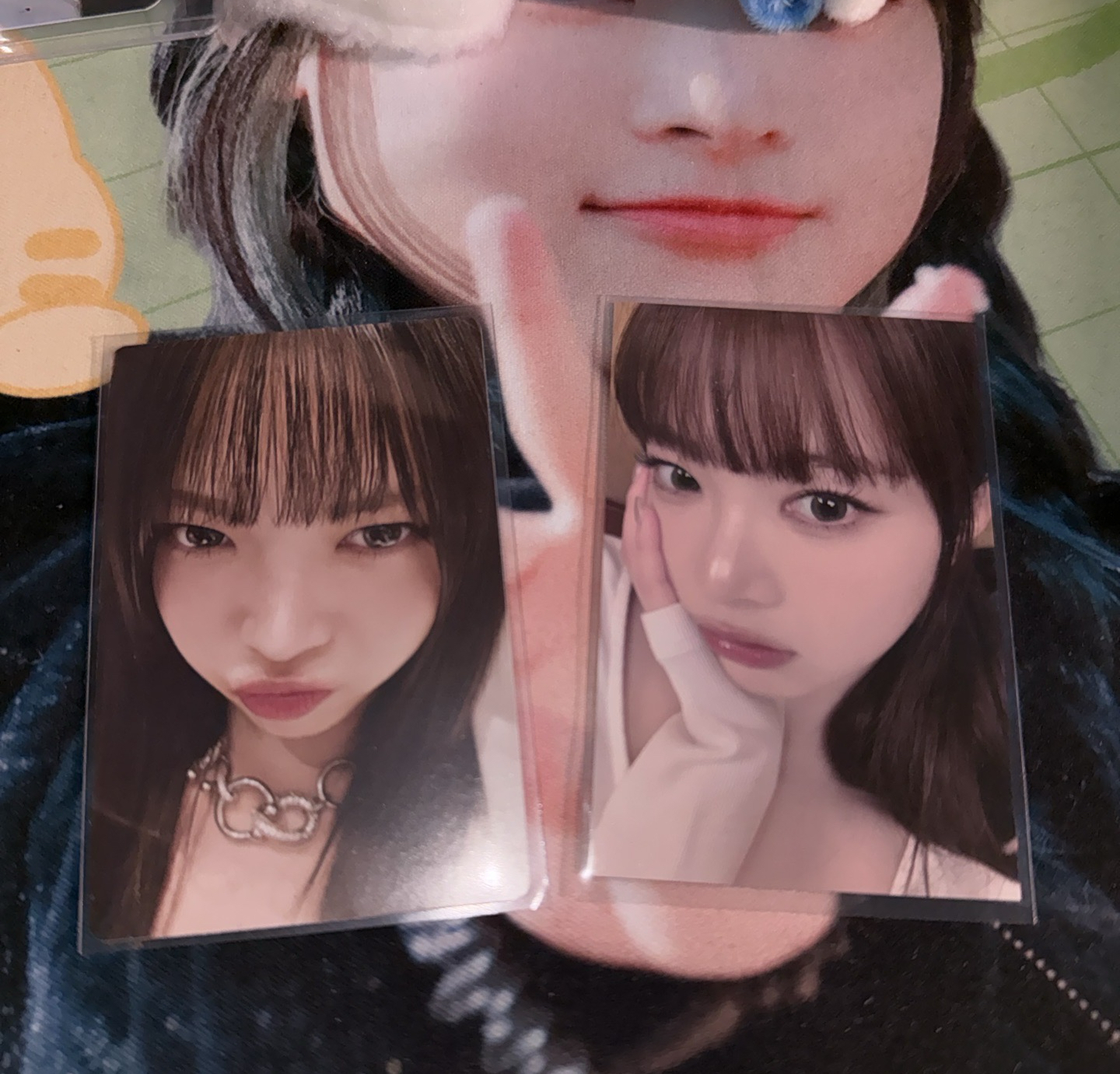 Hello82豬包採🐽、仁川粽採💫