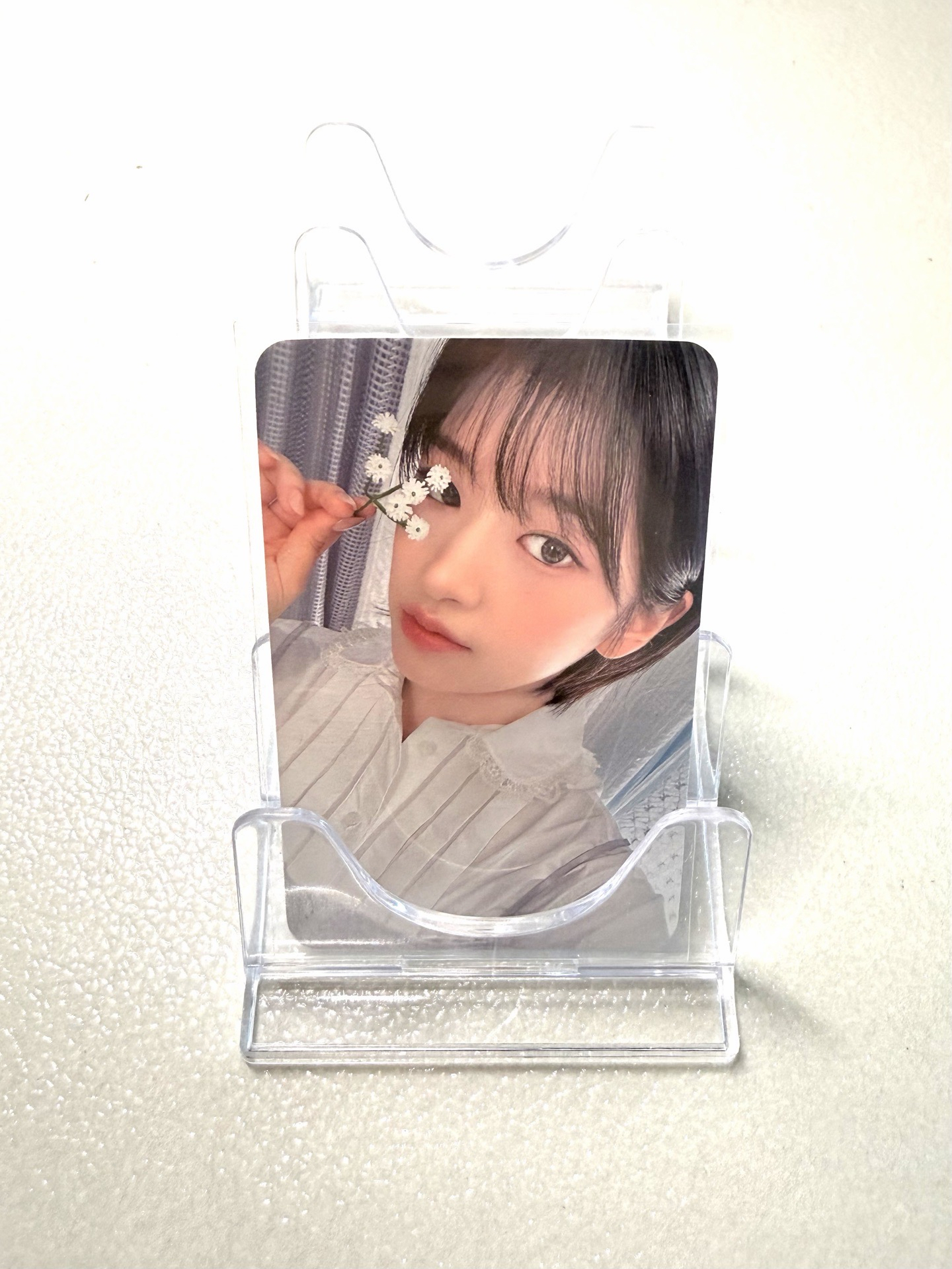 【現貨】安 24 年曆 sw 特典卡 