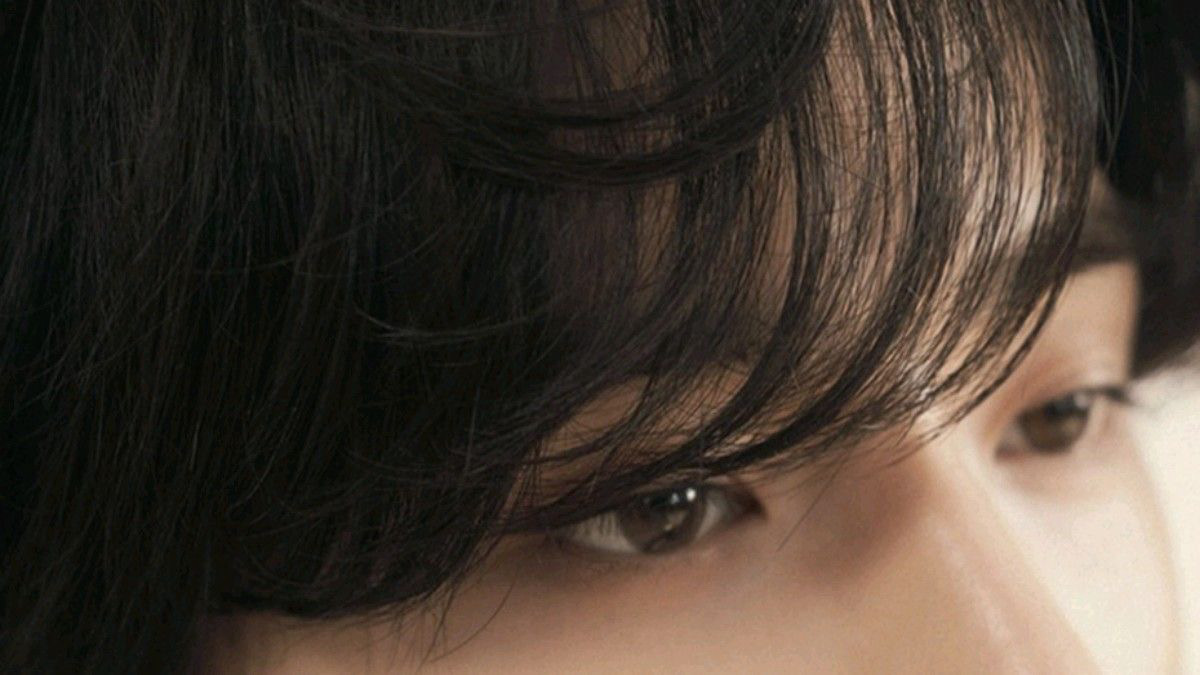 澳洲牛奶寶寶狗