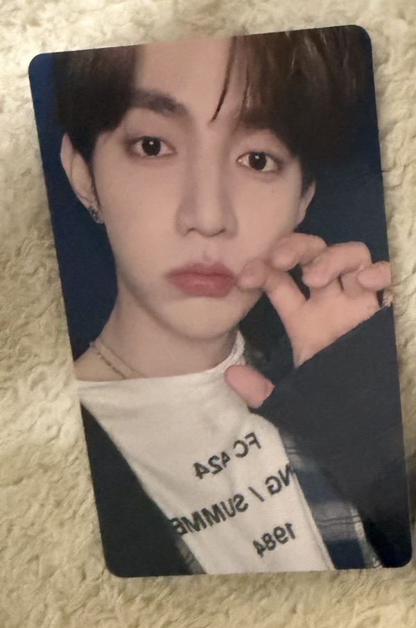 塔店LD 小貓爪 昊