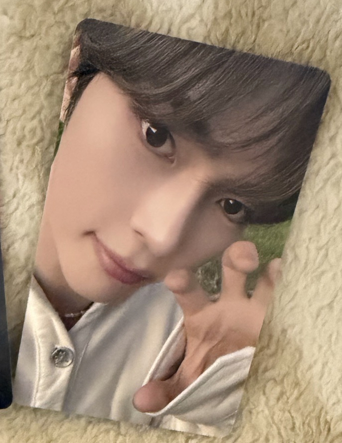 塔店LD 小貓爪 韓彬