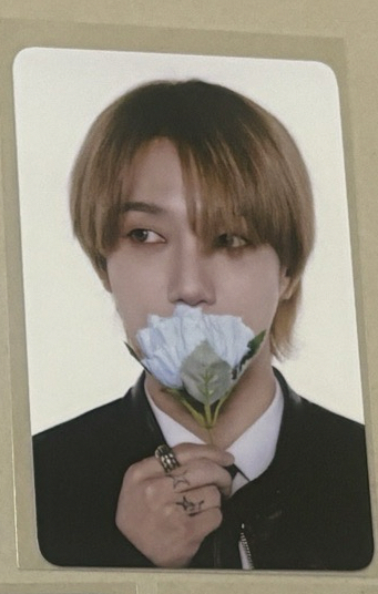 SUPER JUNIOR 藝聲 玫瑰卡