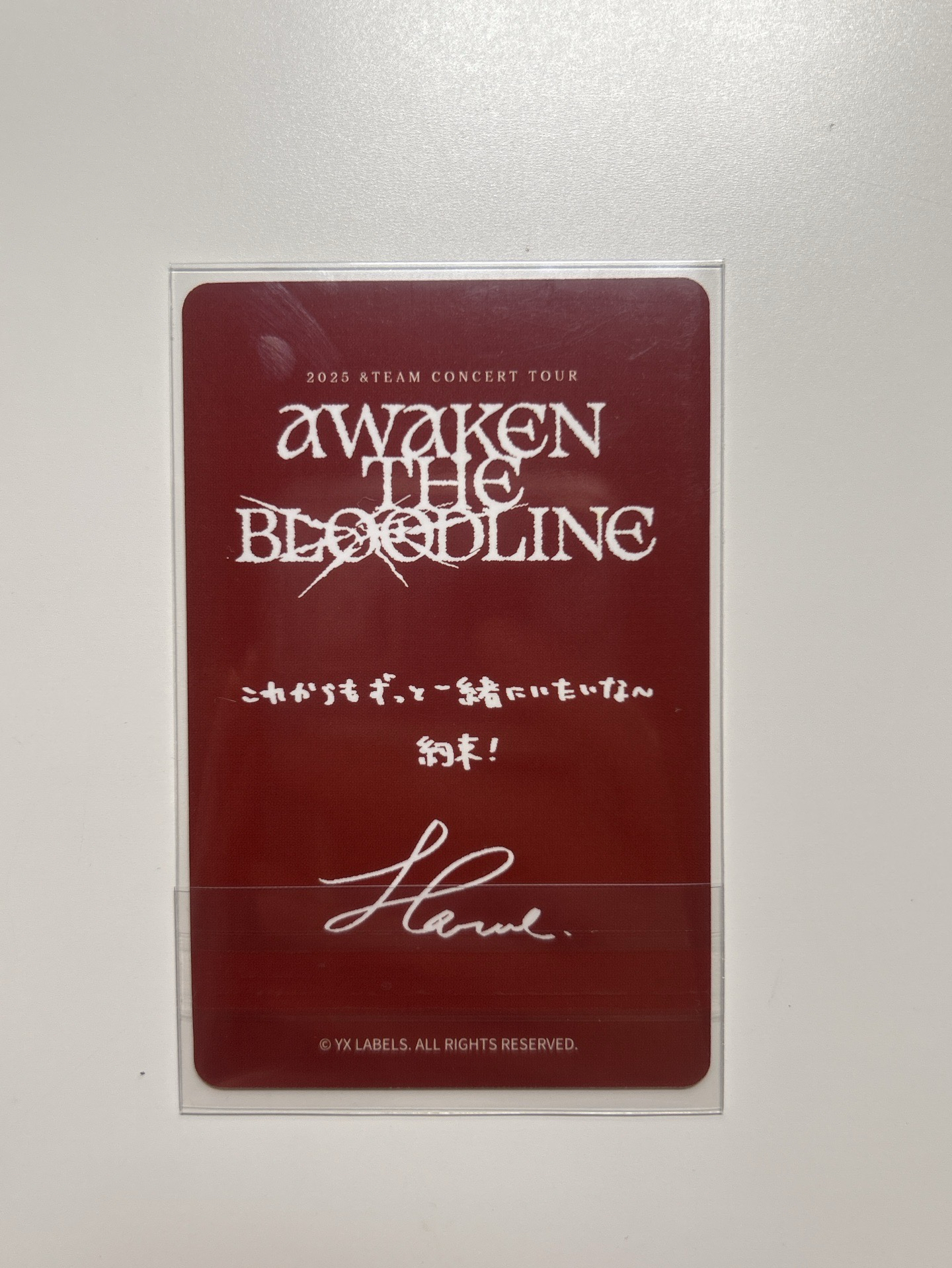 HARUA ATB東京場粽卡