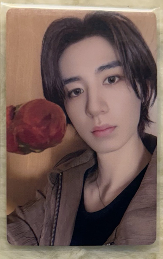 NO GENRE 北京抽選卡