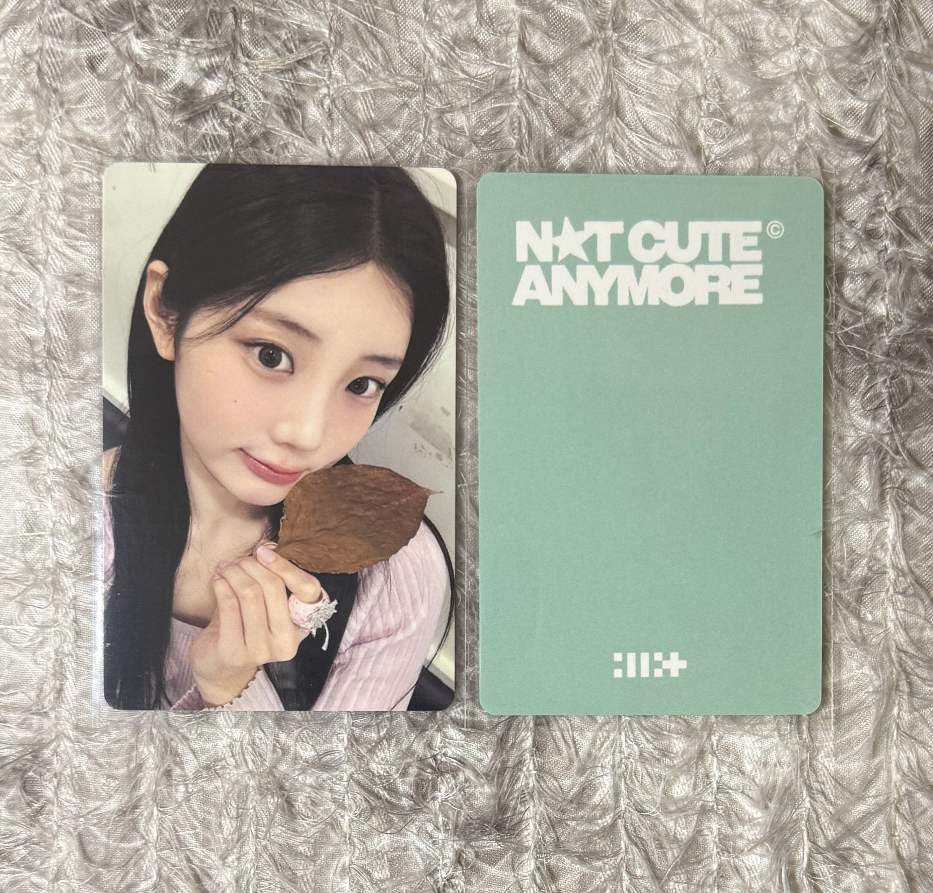 可直拍 楓葉禧🍁