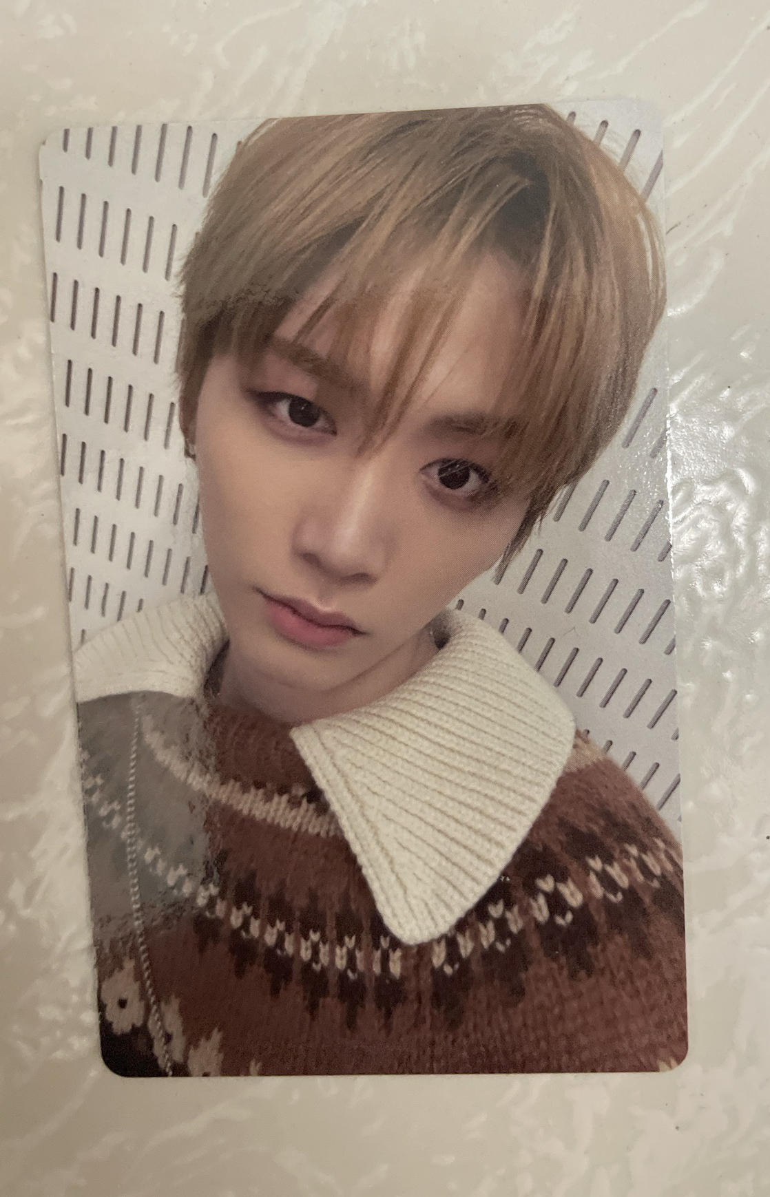 預購特典泰山(需多帶成淏或常赫)