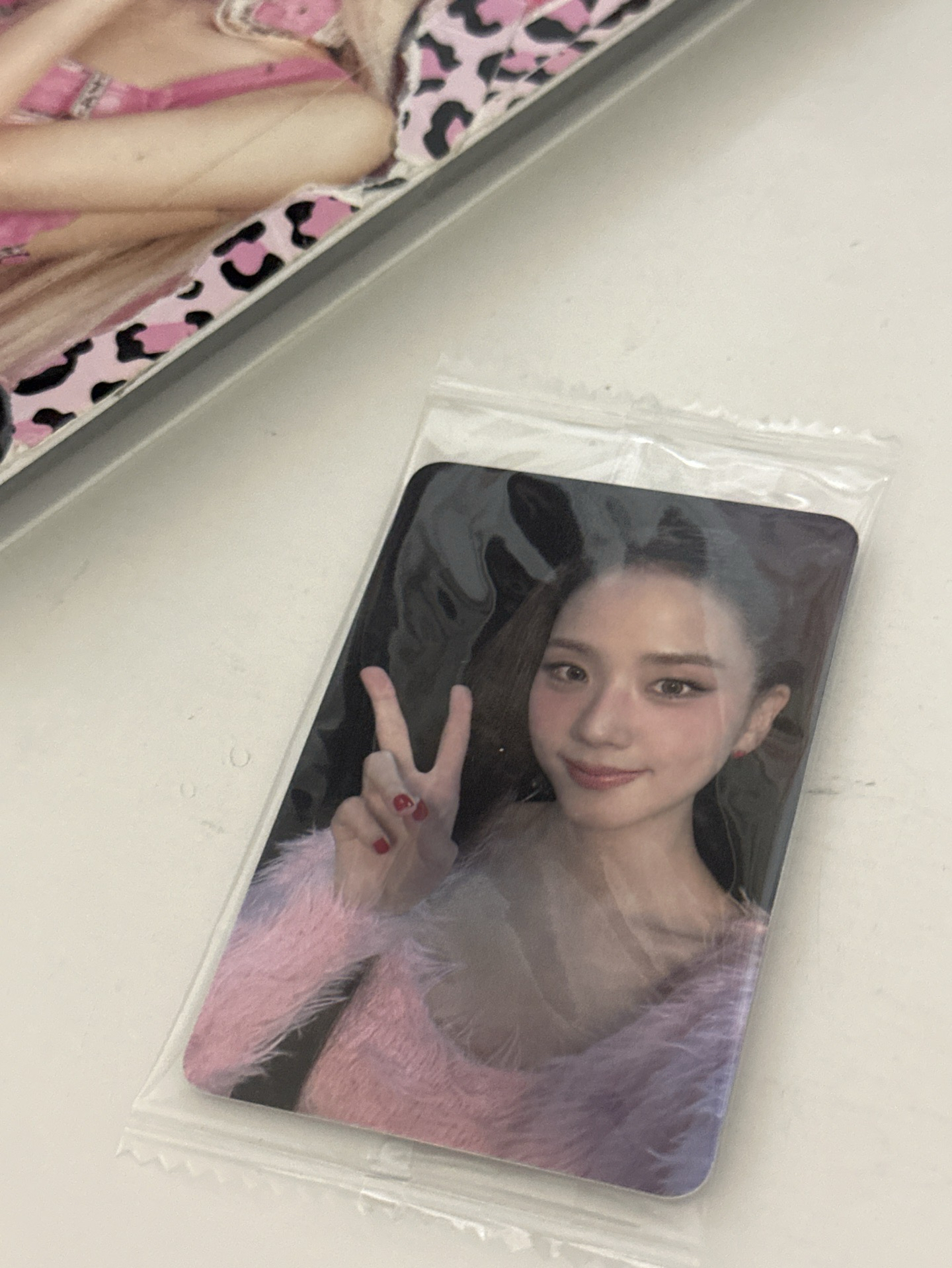 AMORTAGE k4 預售 特典卡 