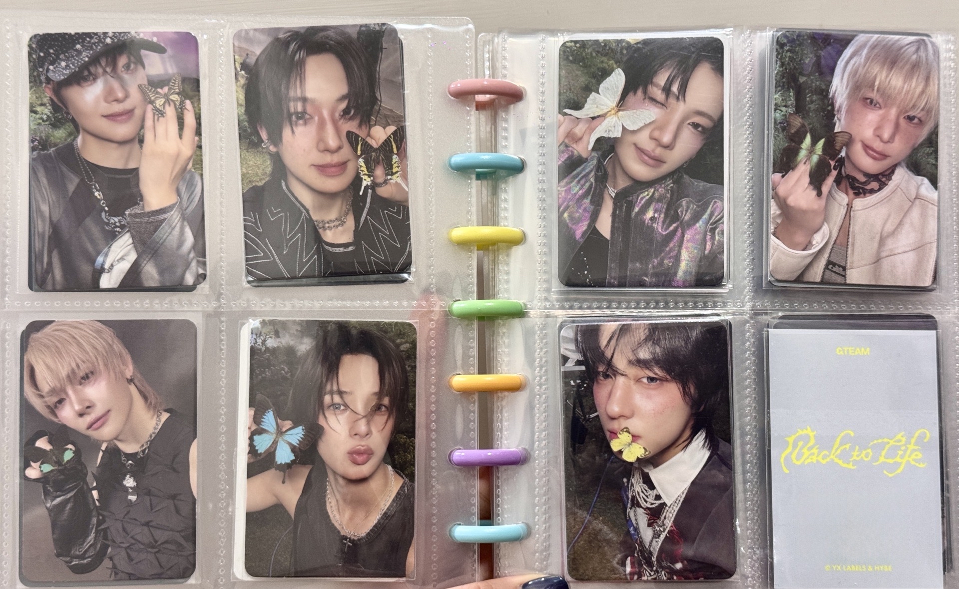 🦋BtL七隻小蝴蝶🦋