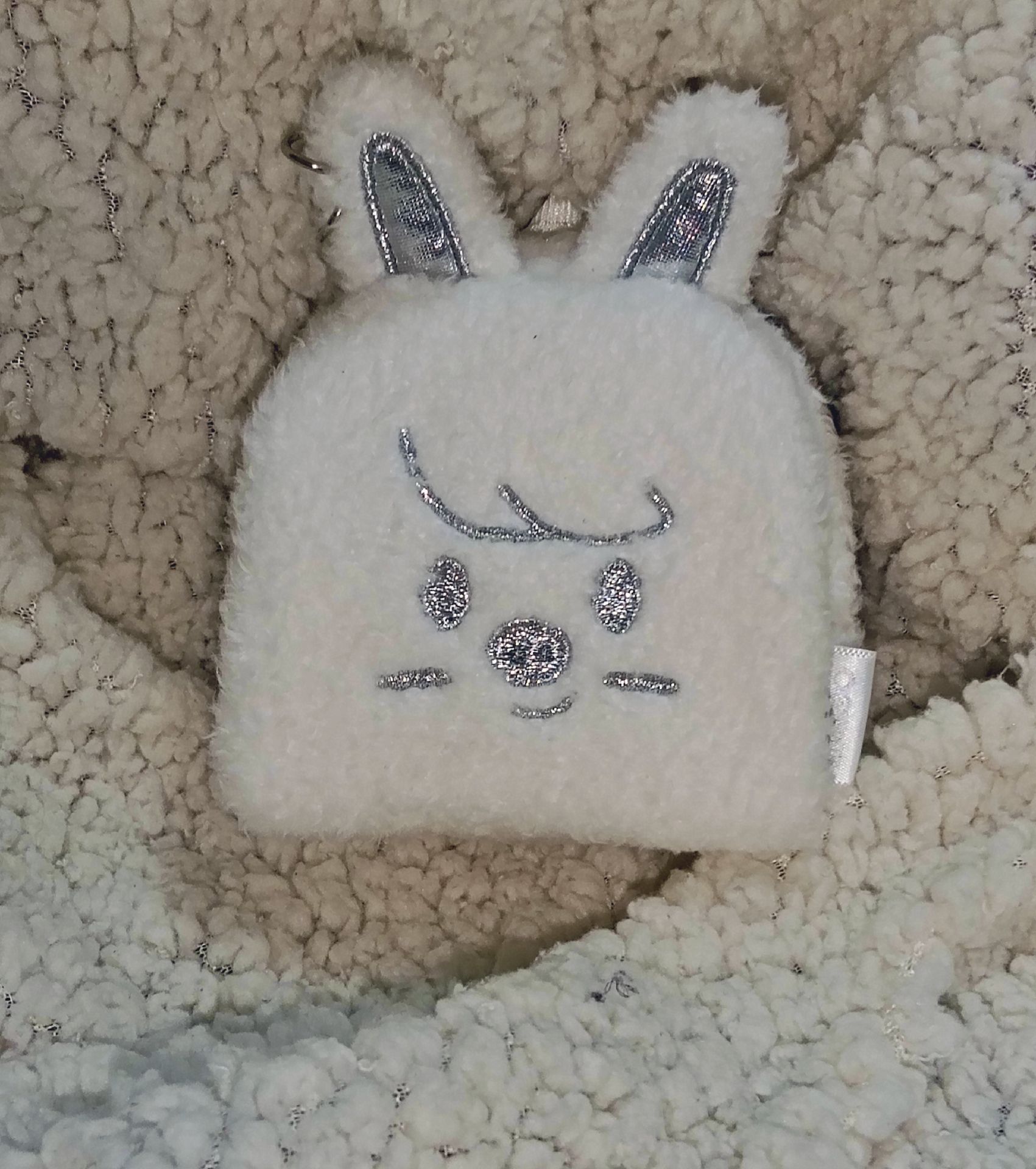 世巡快閃 銀版後背包彬