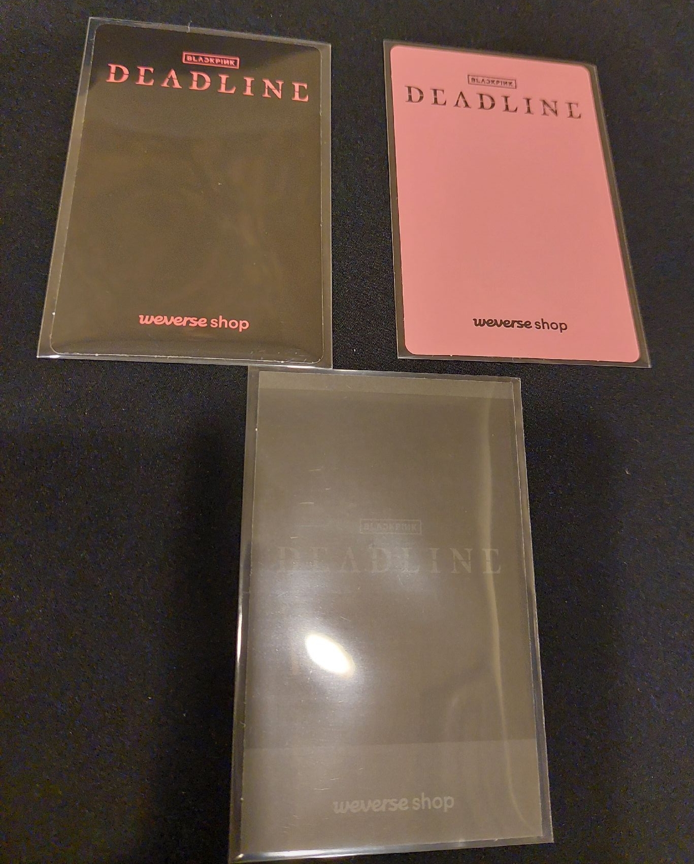 現貨 WVS妮特典組