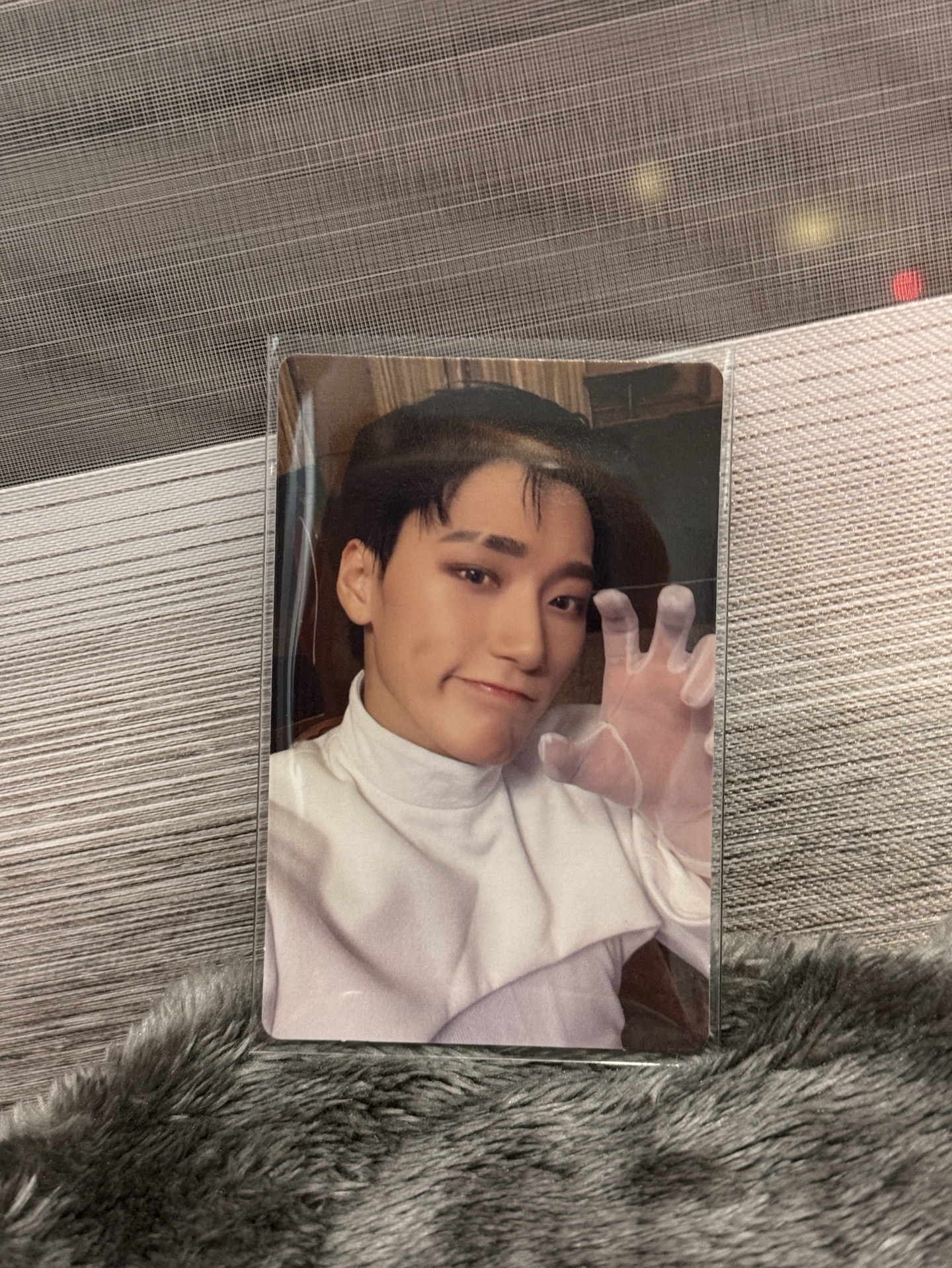 斷眉貓爪傘♡(,,◝ω◜,,)