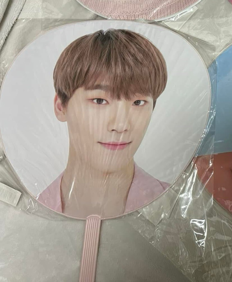 Dino 粉嫩嫩李燦 HARU 大扇