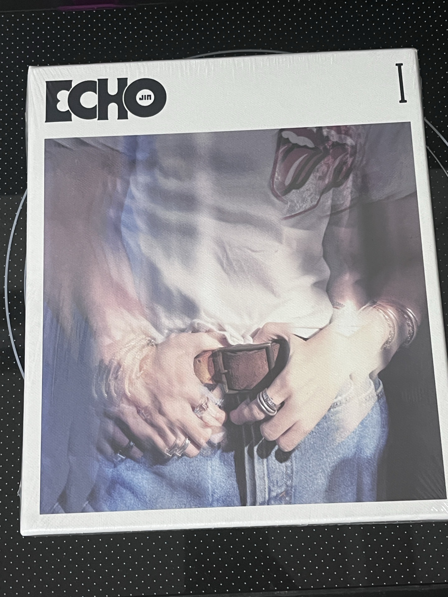 碩珍 echo未拆專