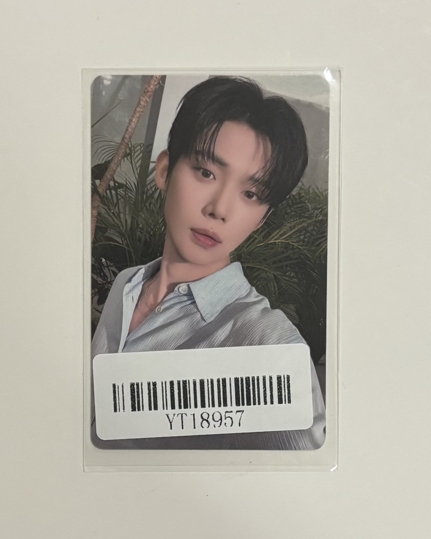 中背 摸摸小竣頭 幸福明天不用愁